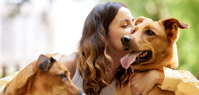 Foto: Debeka/AdobeStock