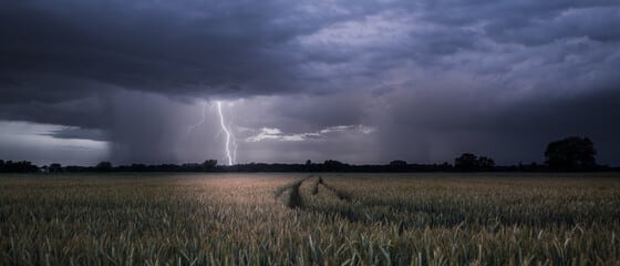 Foto: Adobe Stock