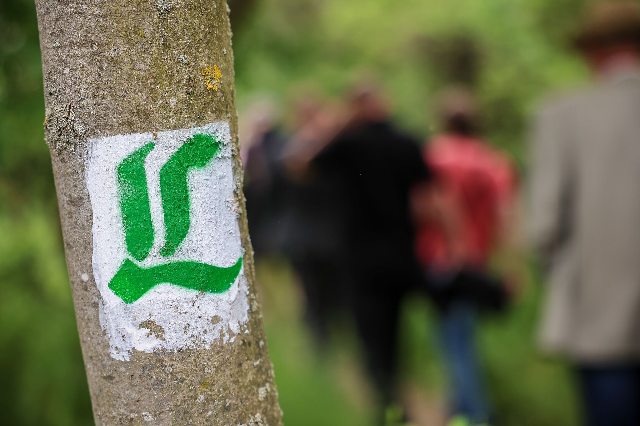 Der neu eröffnete Abschnitt ist rund 80 Kilometer lang und führt von Kemberg in Sachsen-Anhalt bis nach Herzberg in Brandenburg.