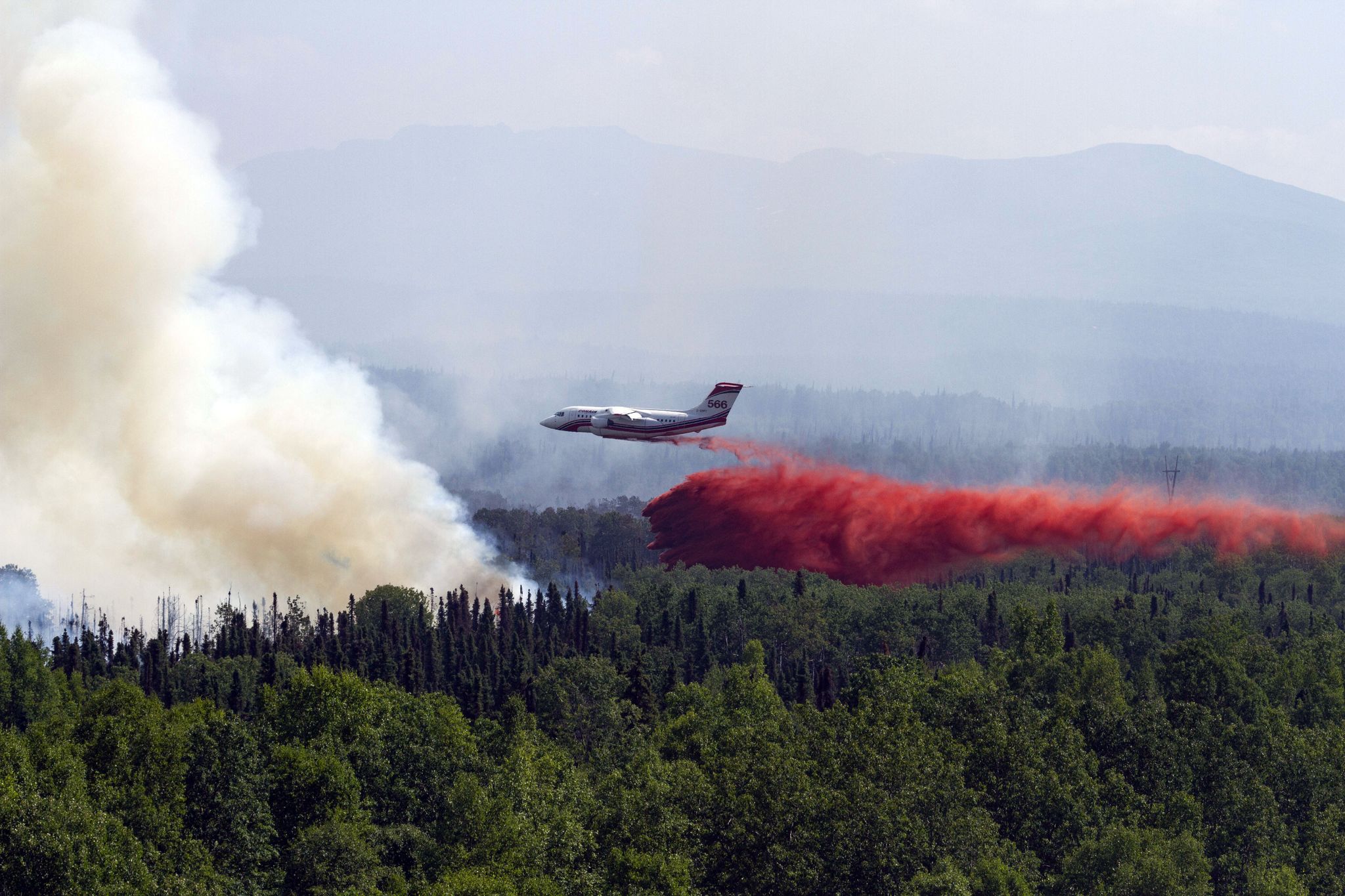 Waldbrände setzten 2023 zusätzlich CO2 frei (Archivbild)