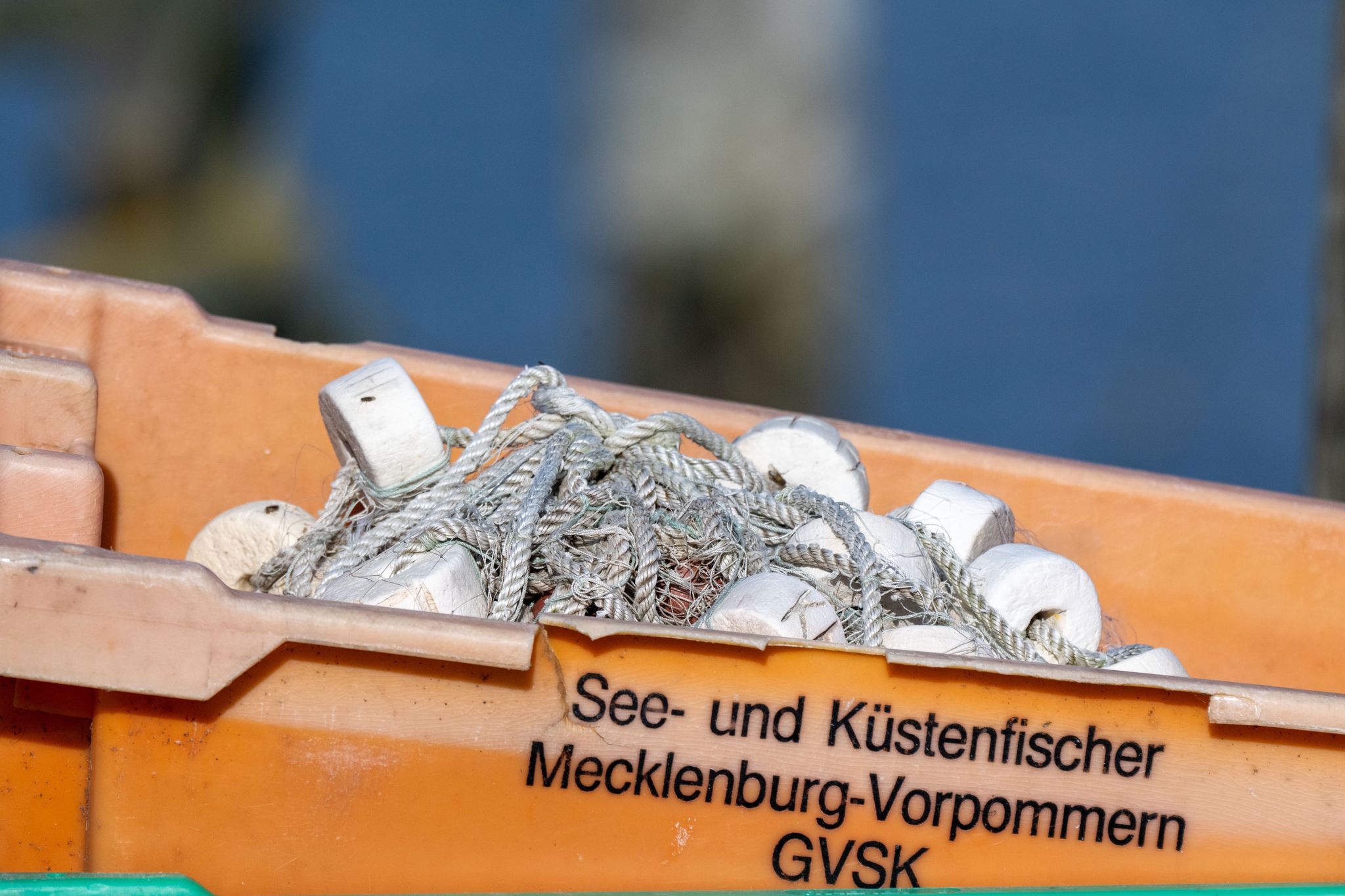 Heringe dürfen in der westlichen Ostsee unter bestimmten Bedingungen weiter gefangen werden.