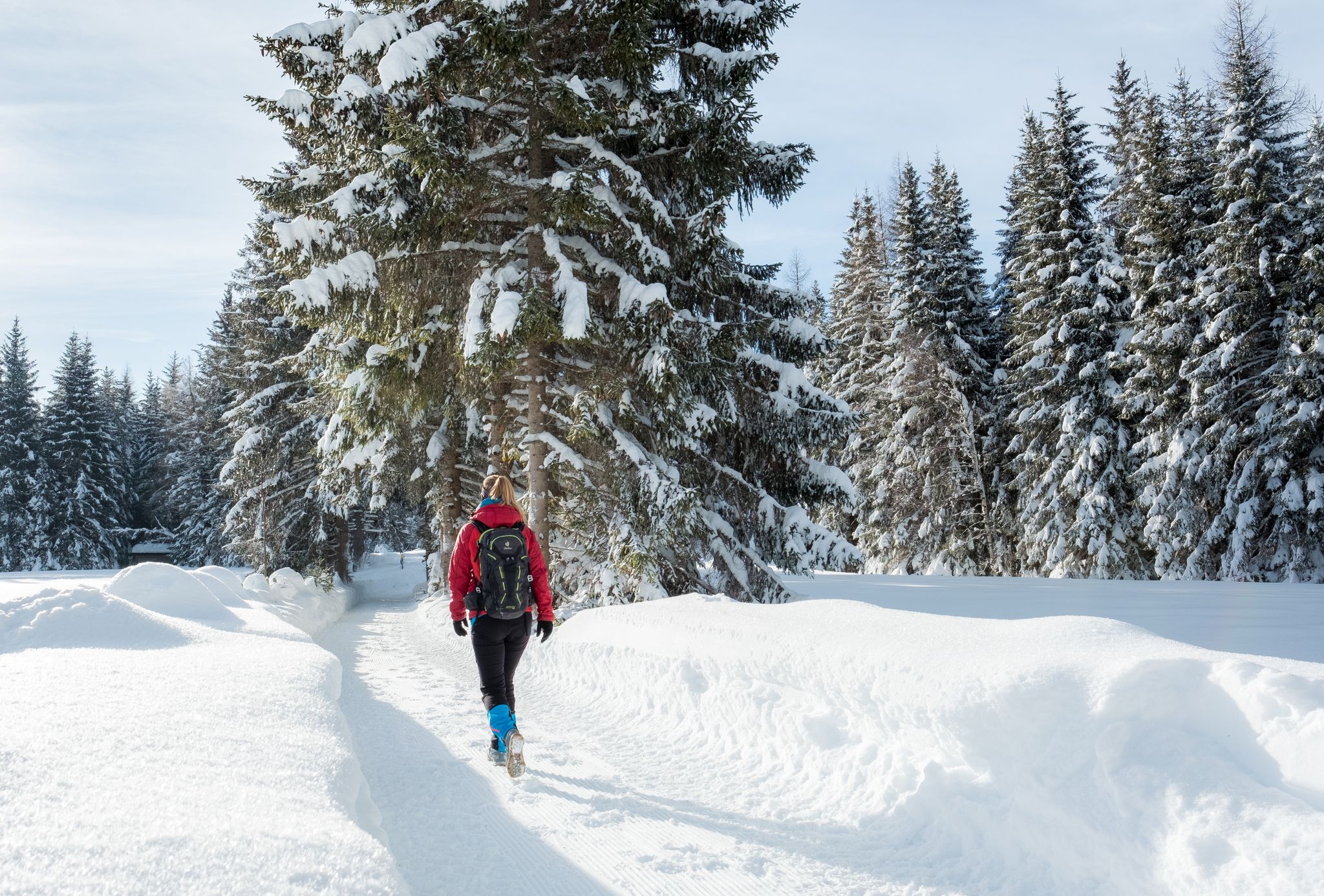 Auf dem Seefelder Hochplateau geht es für Wanderer auf fünf Etappen durch die verschneite Tiroler Landschaft.