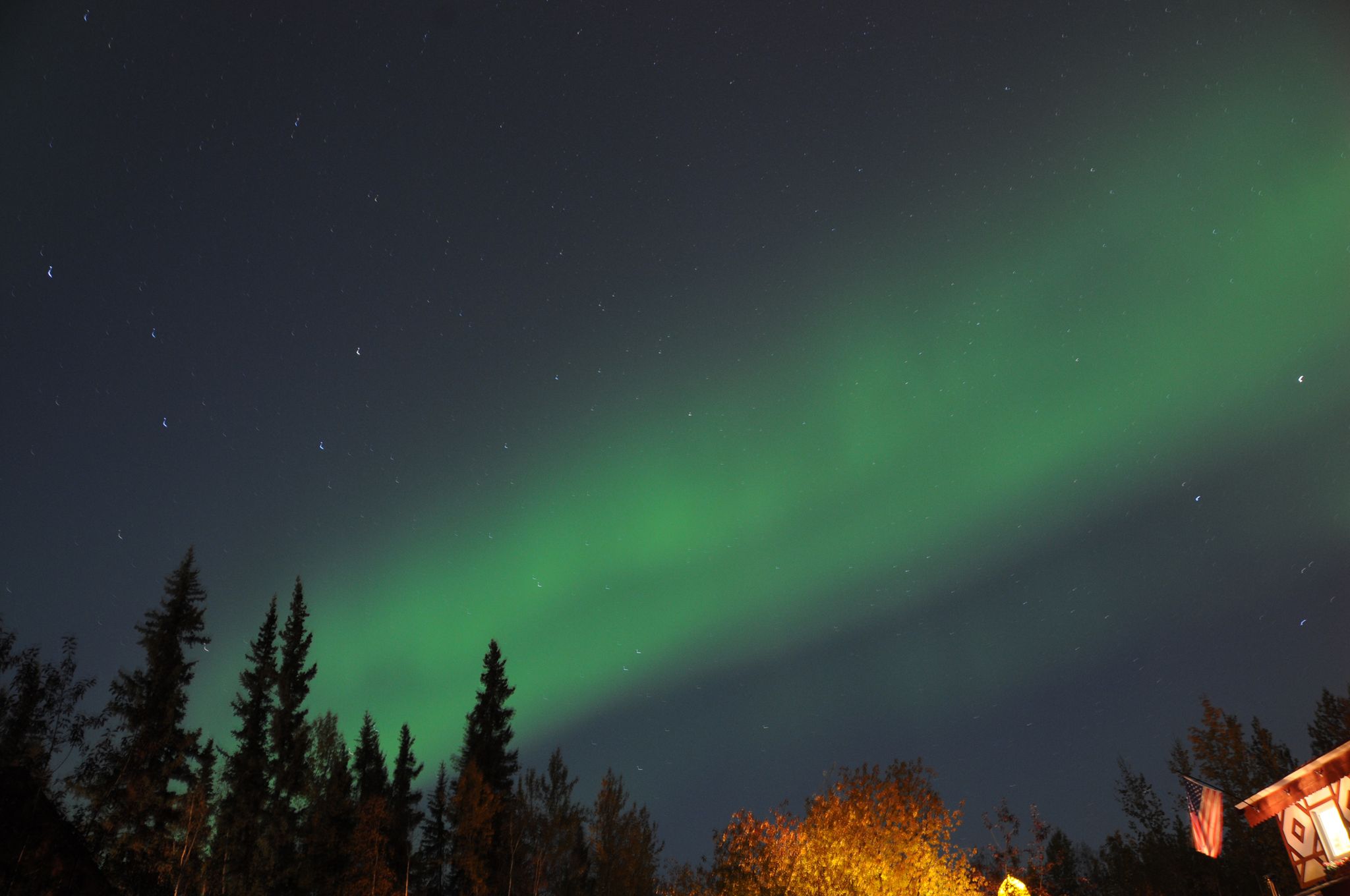 Tanzende Polarlichter erstrahlen am Nachthimmel über Fairbanks.