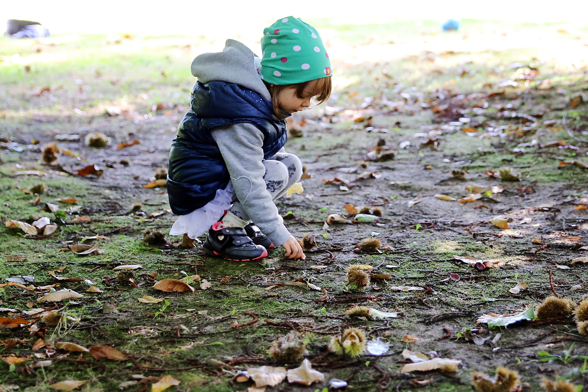 So viele Kastanien: Gerade der Herbst löst bei manchen Kindern eine Sammelleidenschaft aus.