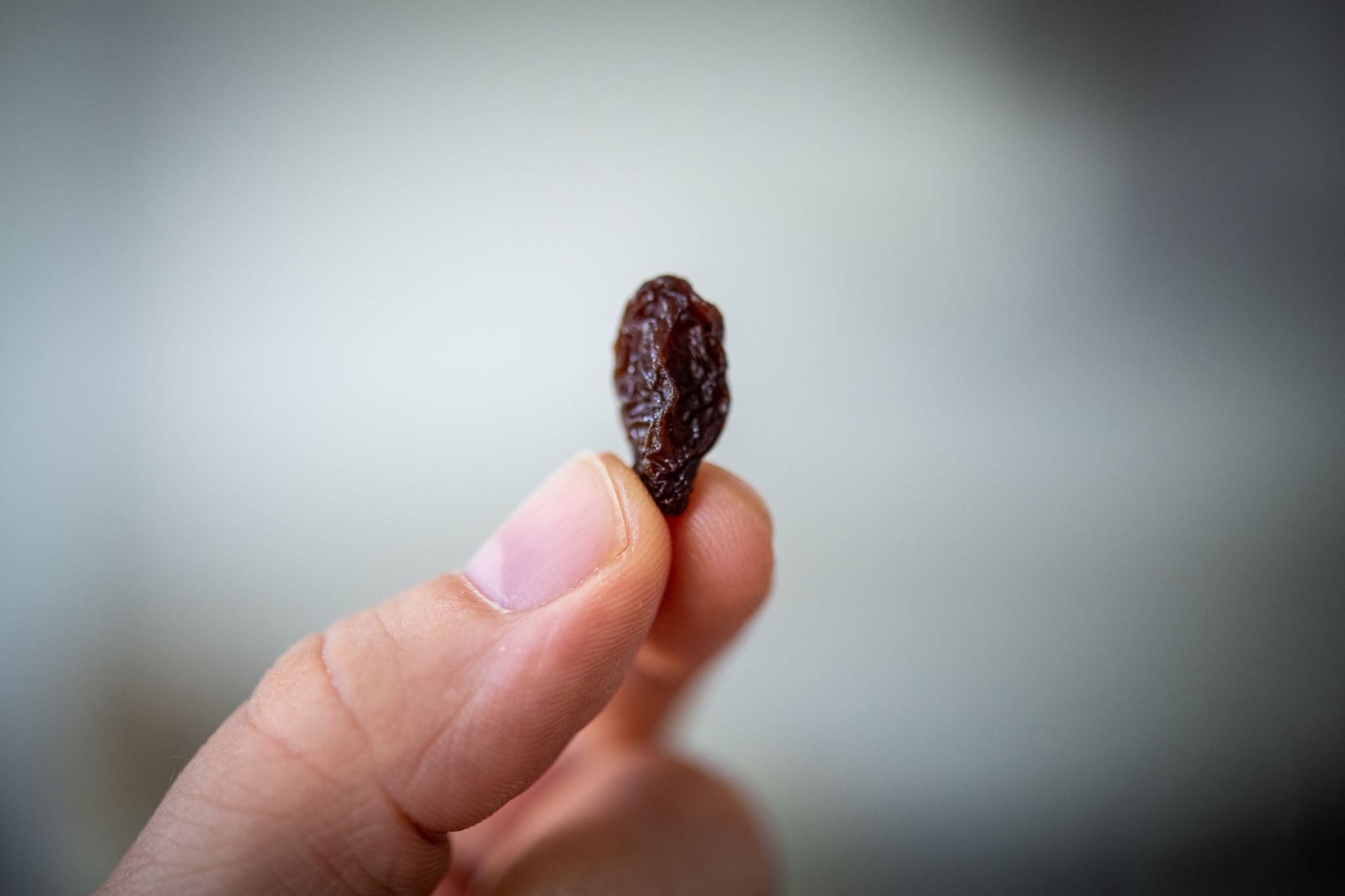 «Öko-Test» hat 24 Rosinenmarken überprüft und festgestellt, dass die meisten von ihnen Pestizide, Schimmelpilzgifte oder Keime enthalten.