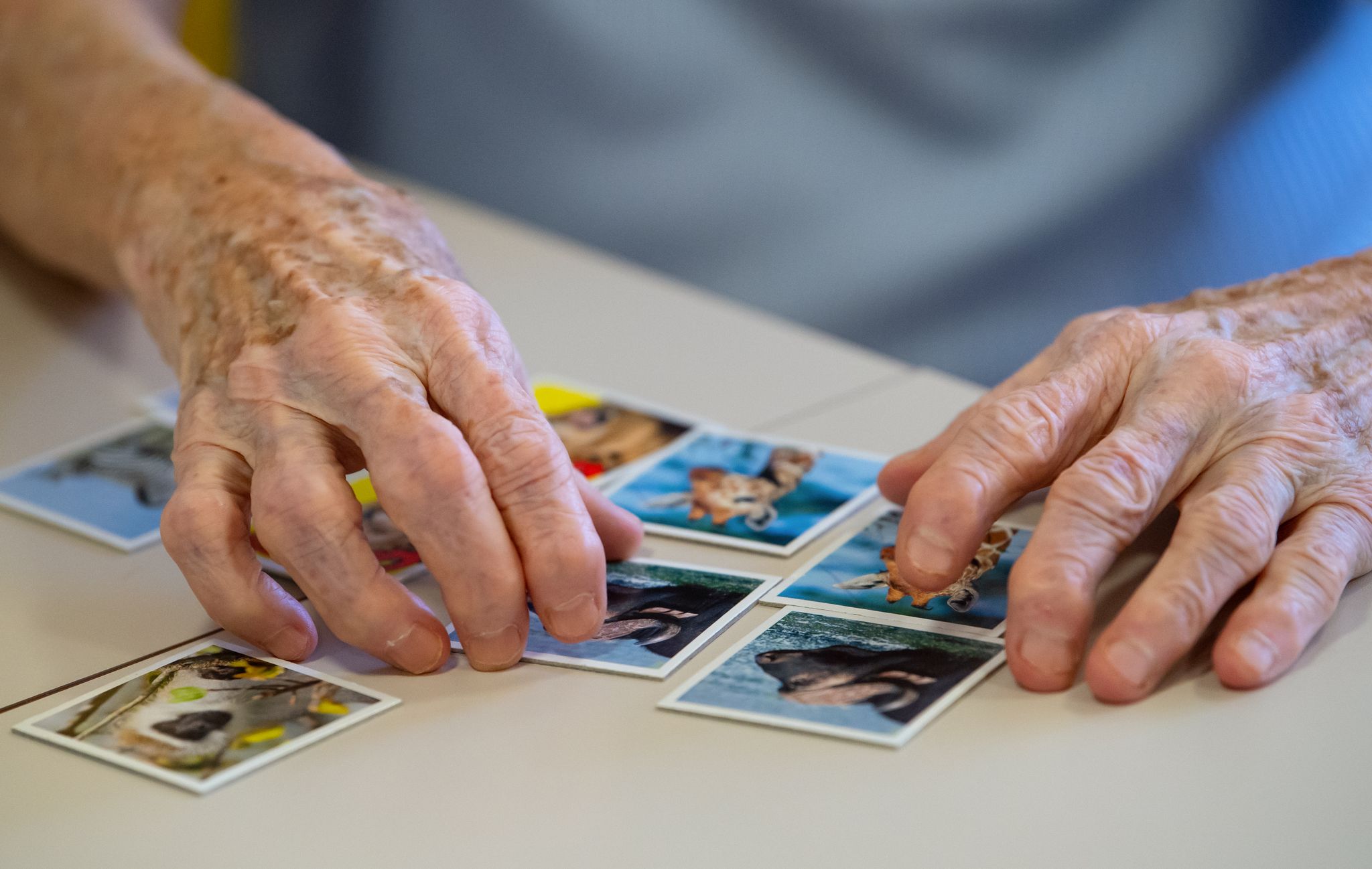 Das Spielen von Memory soll gegen den Gehirnabbau wirken. Bald könnte es im frühen Alzheimer-Stadium auch ein Medikament zum Bremsen der Krankheit geben.