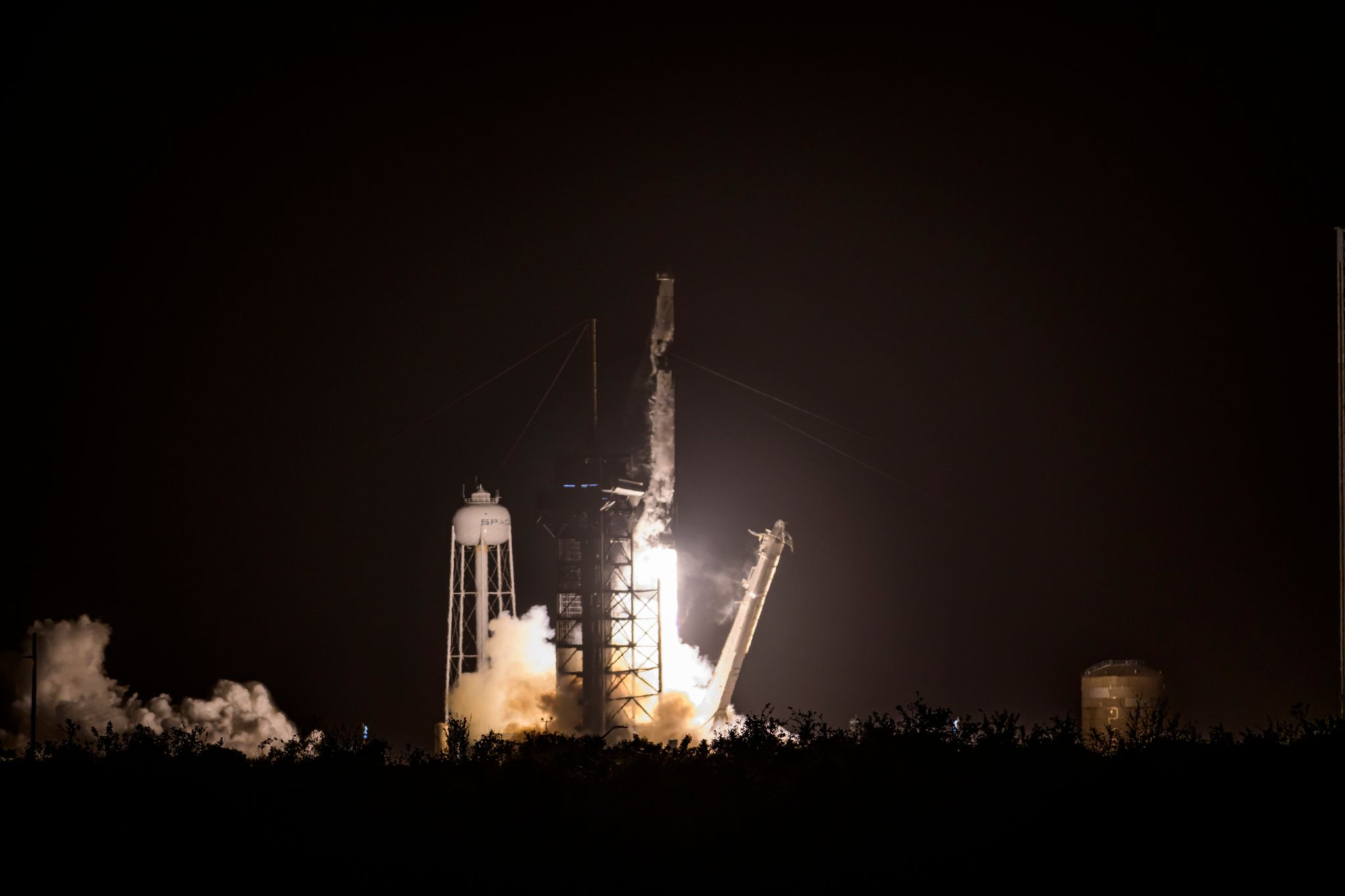 An Bord einer Falcon 9-Rakete von SpaceX wurde «Lignosat» ins All befördert.