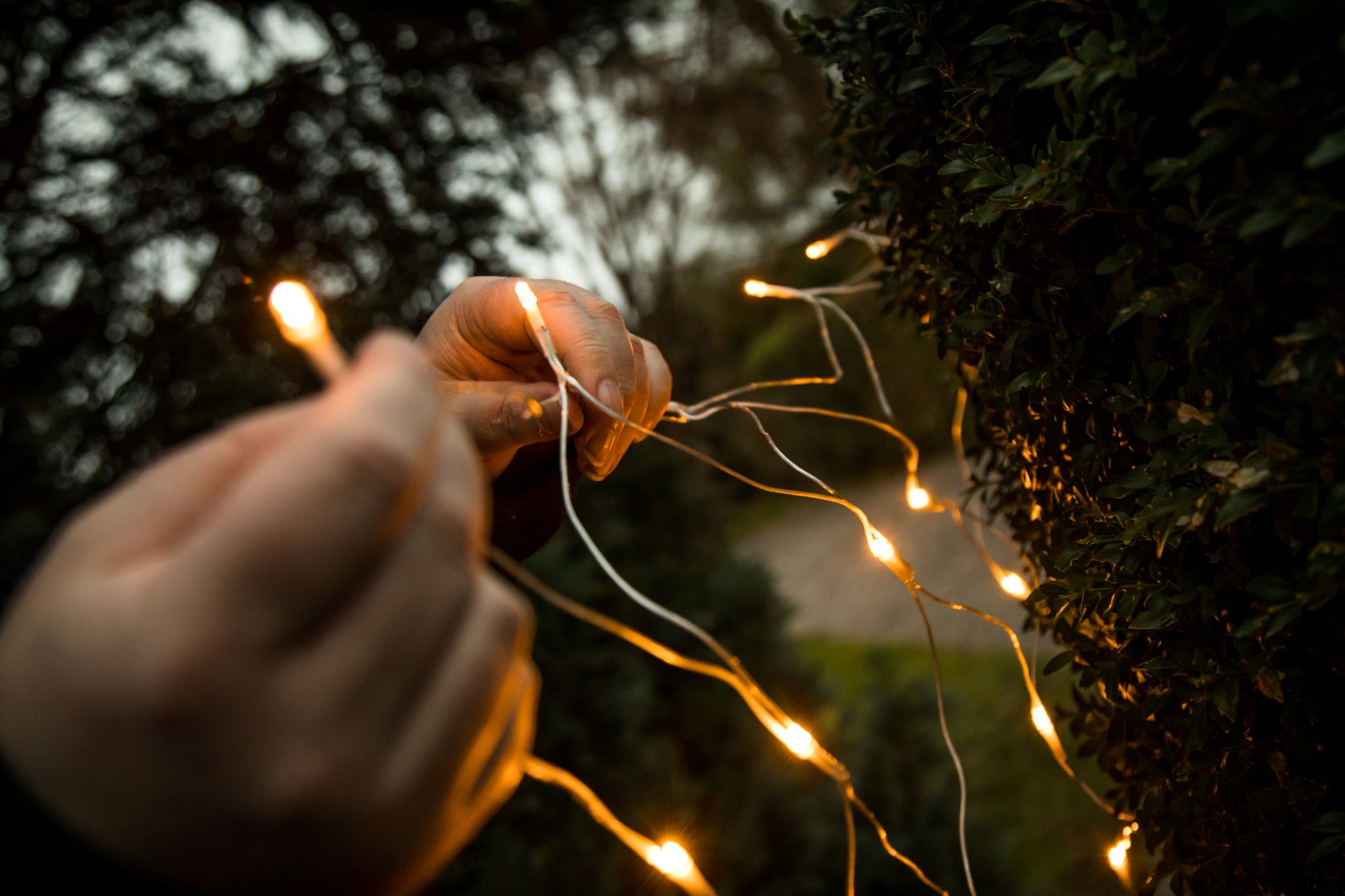 Effiziente Festbeleuchtung: LED-Lichterketten sind langlebig und sparen bis zu 90 % Energie im Vergleich zu Glühlampen.