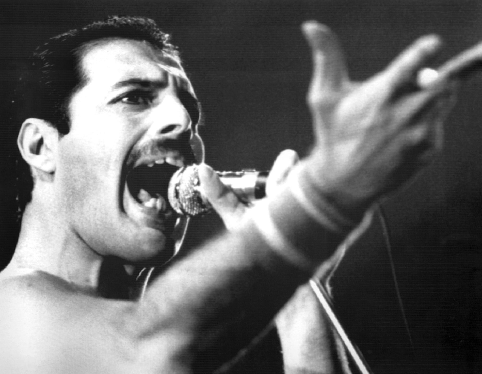 Rocklegende mit gewaltiger Stimme: «Queen»-Frontmann Freddie Mercury (1946-1991).