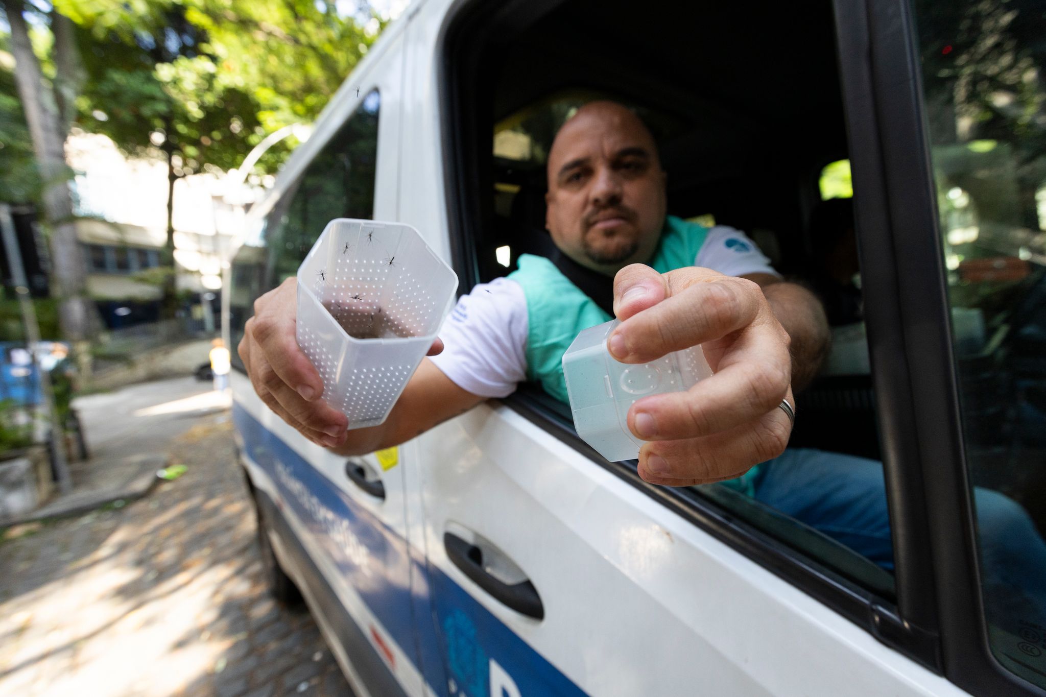 Ein Mitarbeiter des brasilianischen Instituts Fiocruz setzt in Rio de Janeiro Gelbfiebermücken aus, die mit Wolbachia-Bakterien modifiziert wurden. (Archivbild)