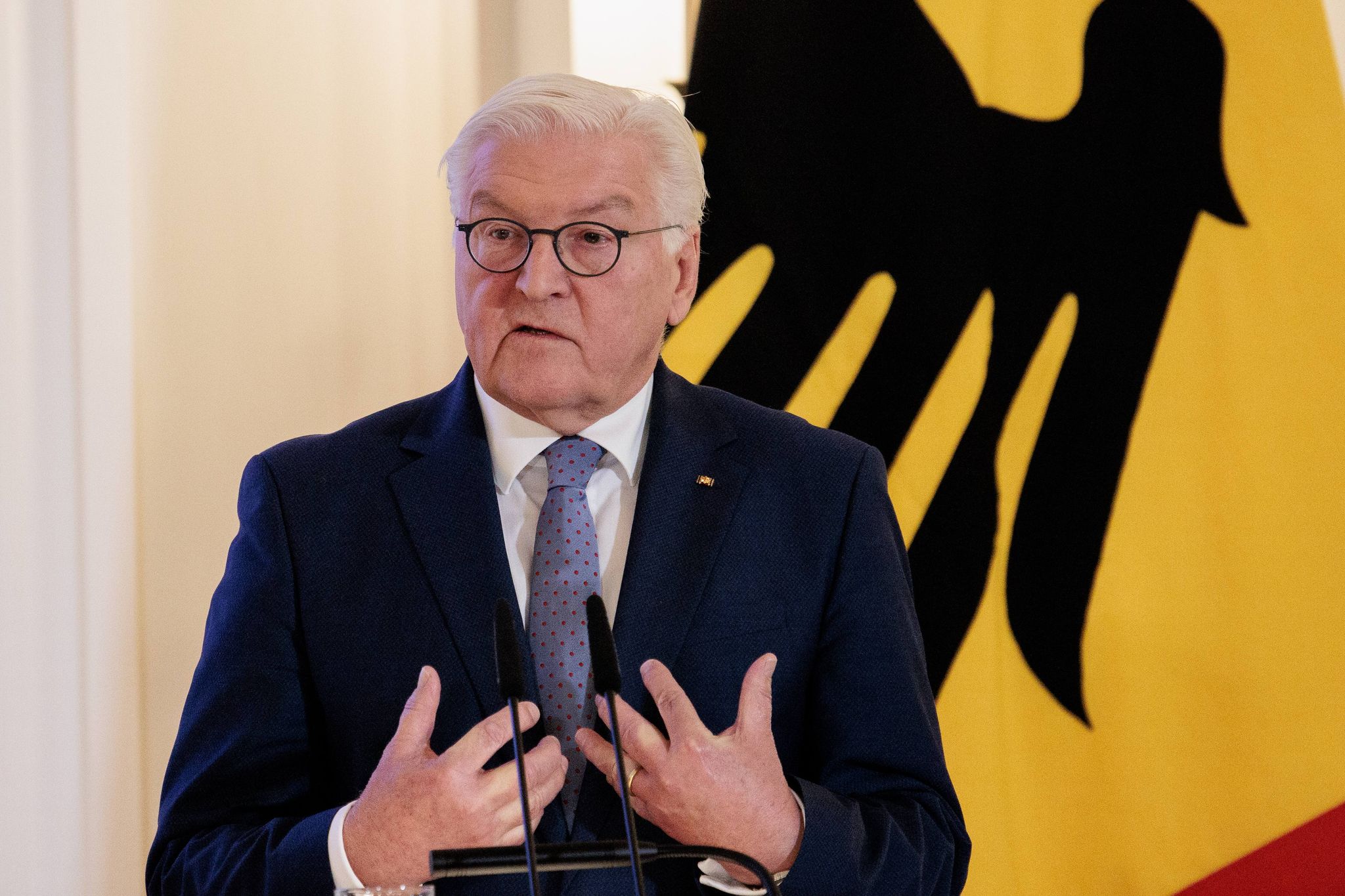 Bundespräsident Frank-Walter Steinmeier im Schloss Bellevue. (Archiv)