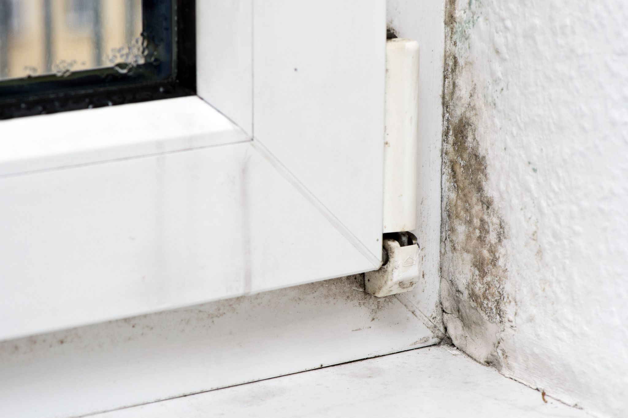 Feuchtigkeit in der Wohnung kann zur Schimmelbildung führen. Manchmal liegt die Ursache dafür an einem Fenstertausch.