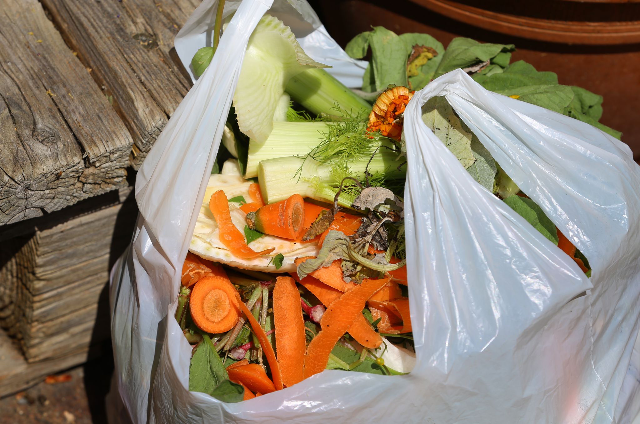Küchenabfälle sorgen dafür, dass gerade im Winter im Kompost ausreichend Feuchtigkeit herrscht (natürlich ohne Plastiktüte).