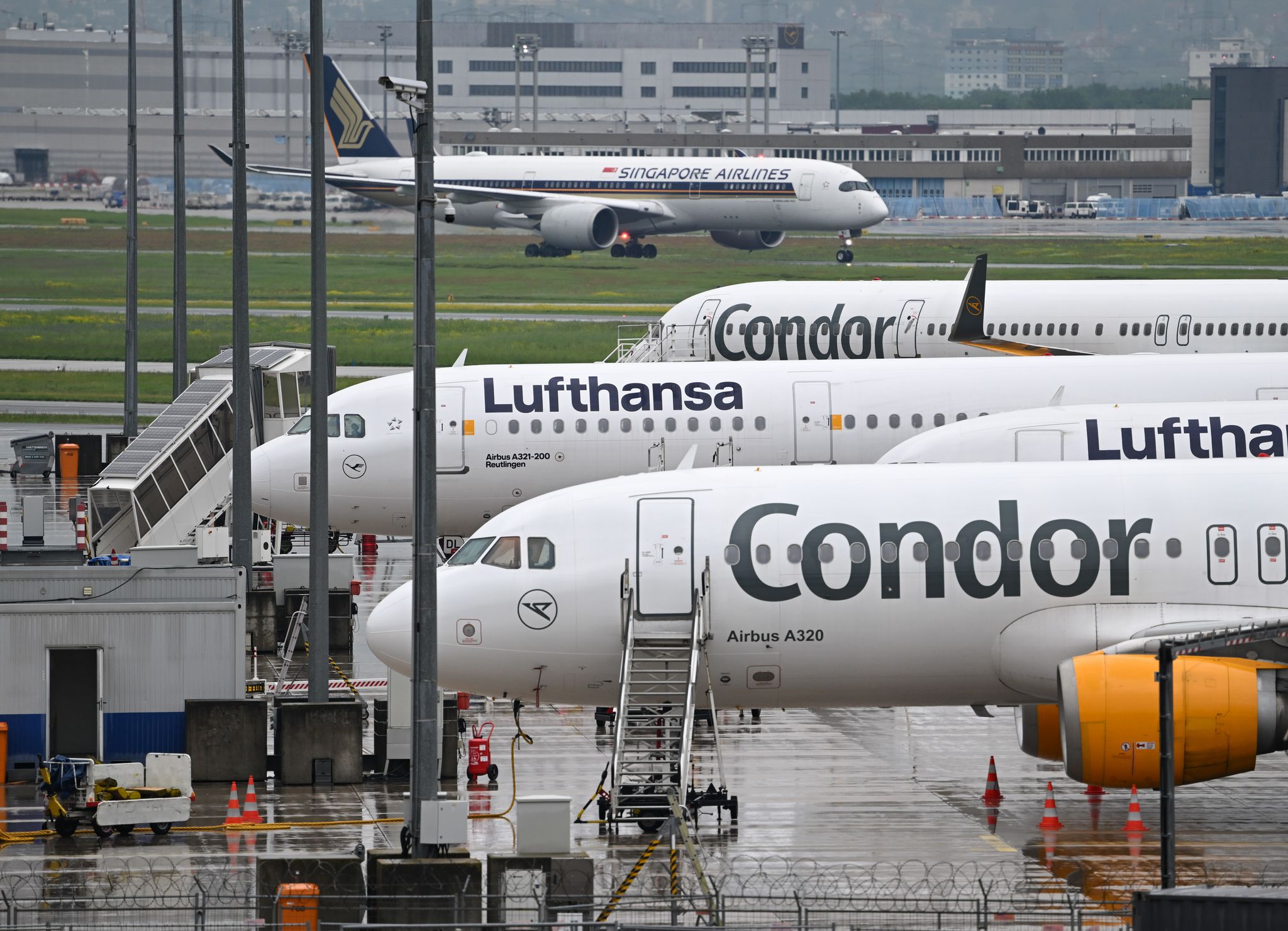 Bislang werden viele Condor-Passagiere von der Lufthansa nach Frankfurt geflogen.