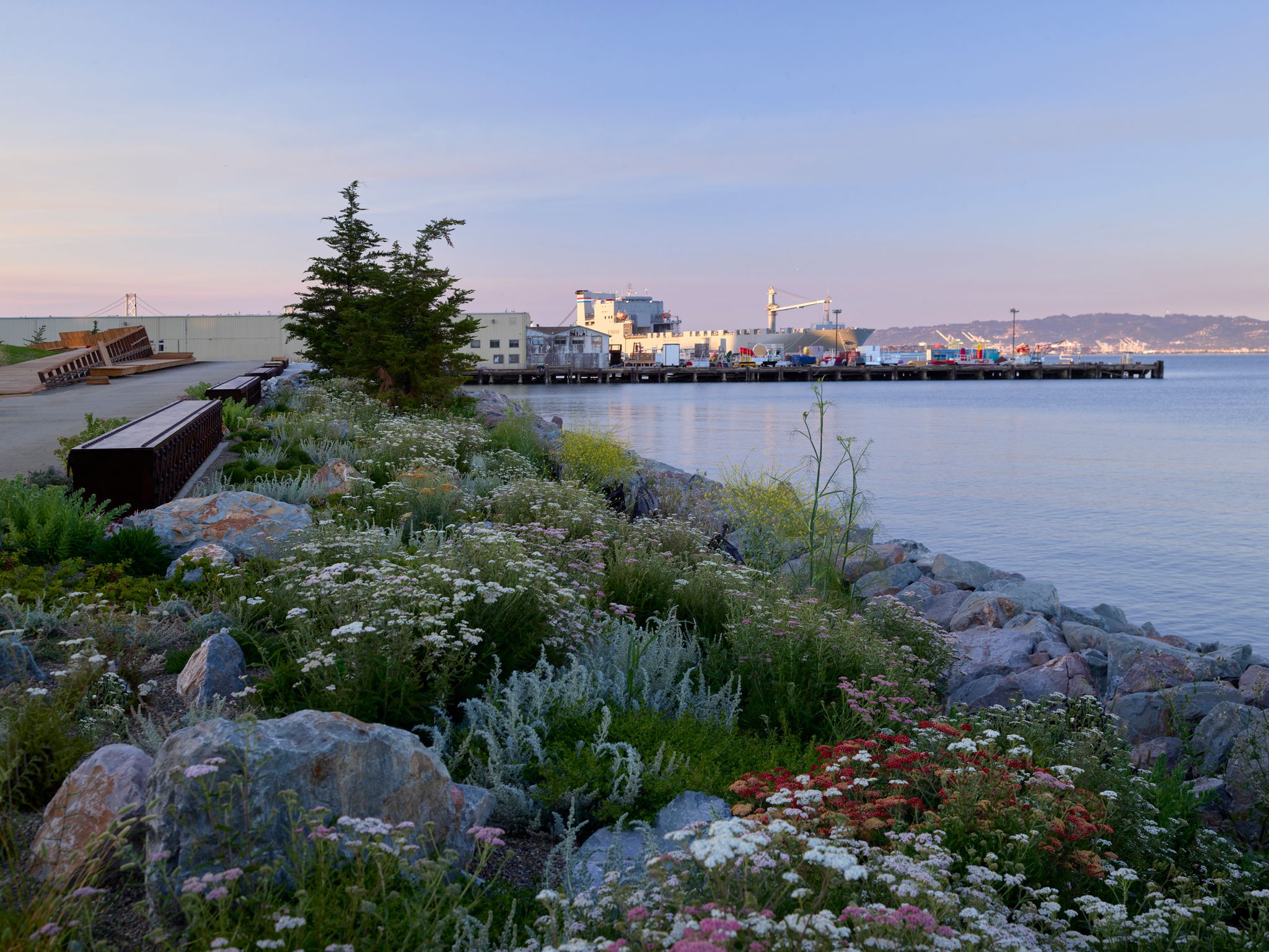 Der neue Bayfront Park in San Francisco: früher Industriegebiet, heute Erholungsort mit Aussicht.