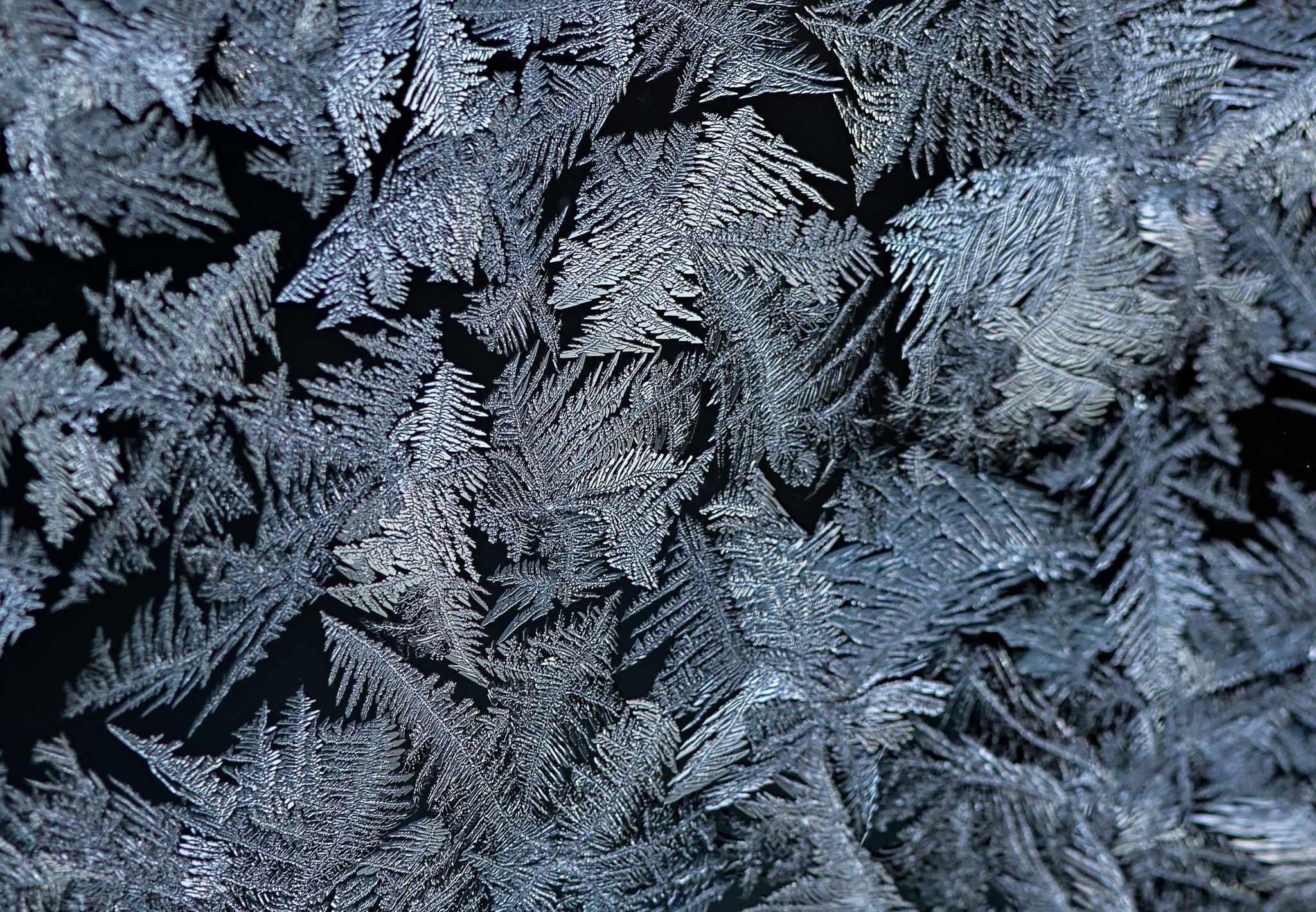 Häufig sehen Eisblumen wie Farnblätter aus. (Archivbild)