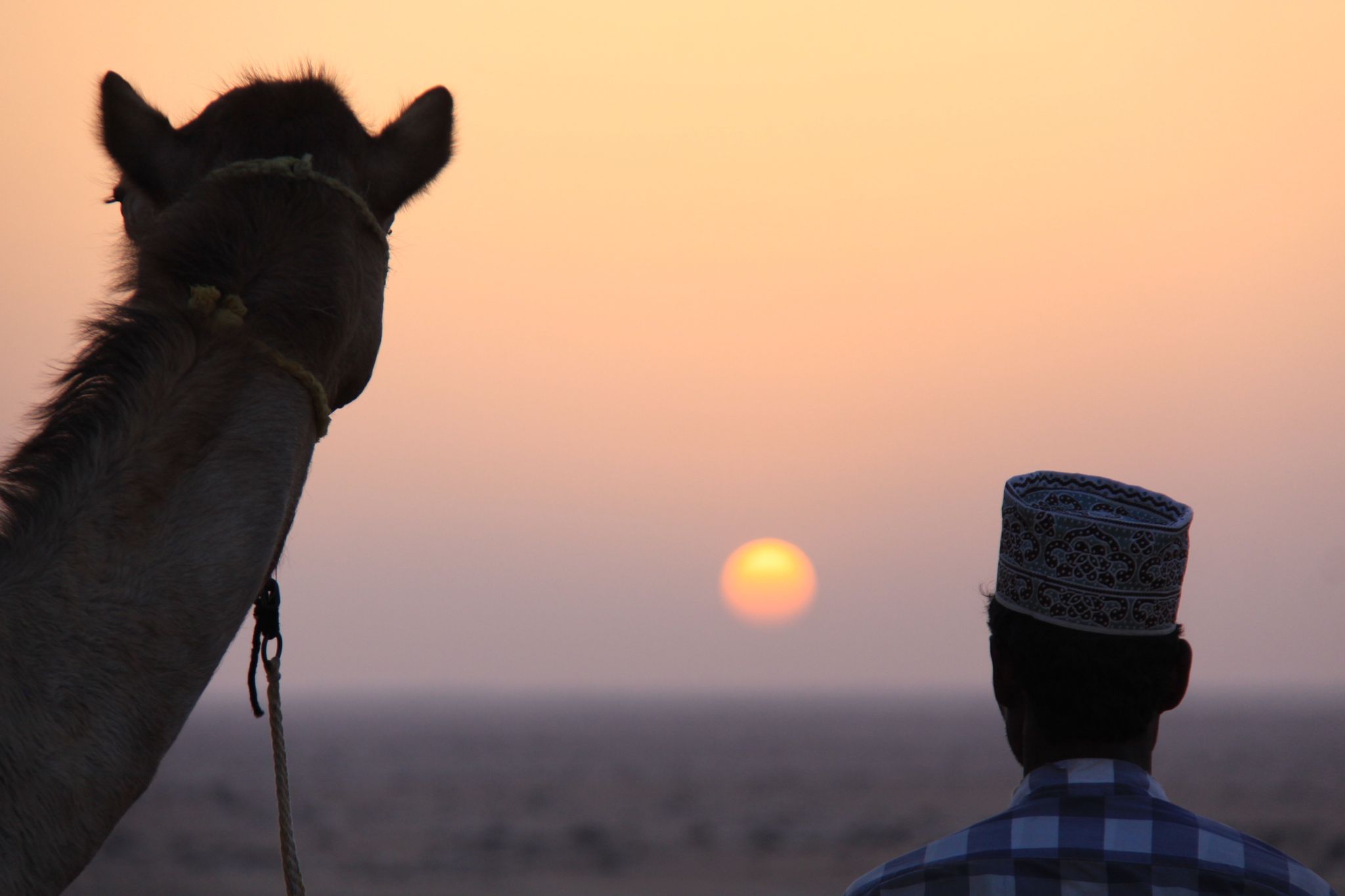 Eine lange Nacht voller Märchen aus dem Orient. (Symbolbild)