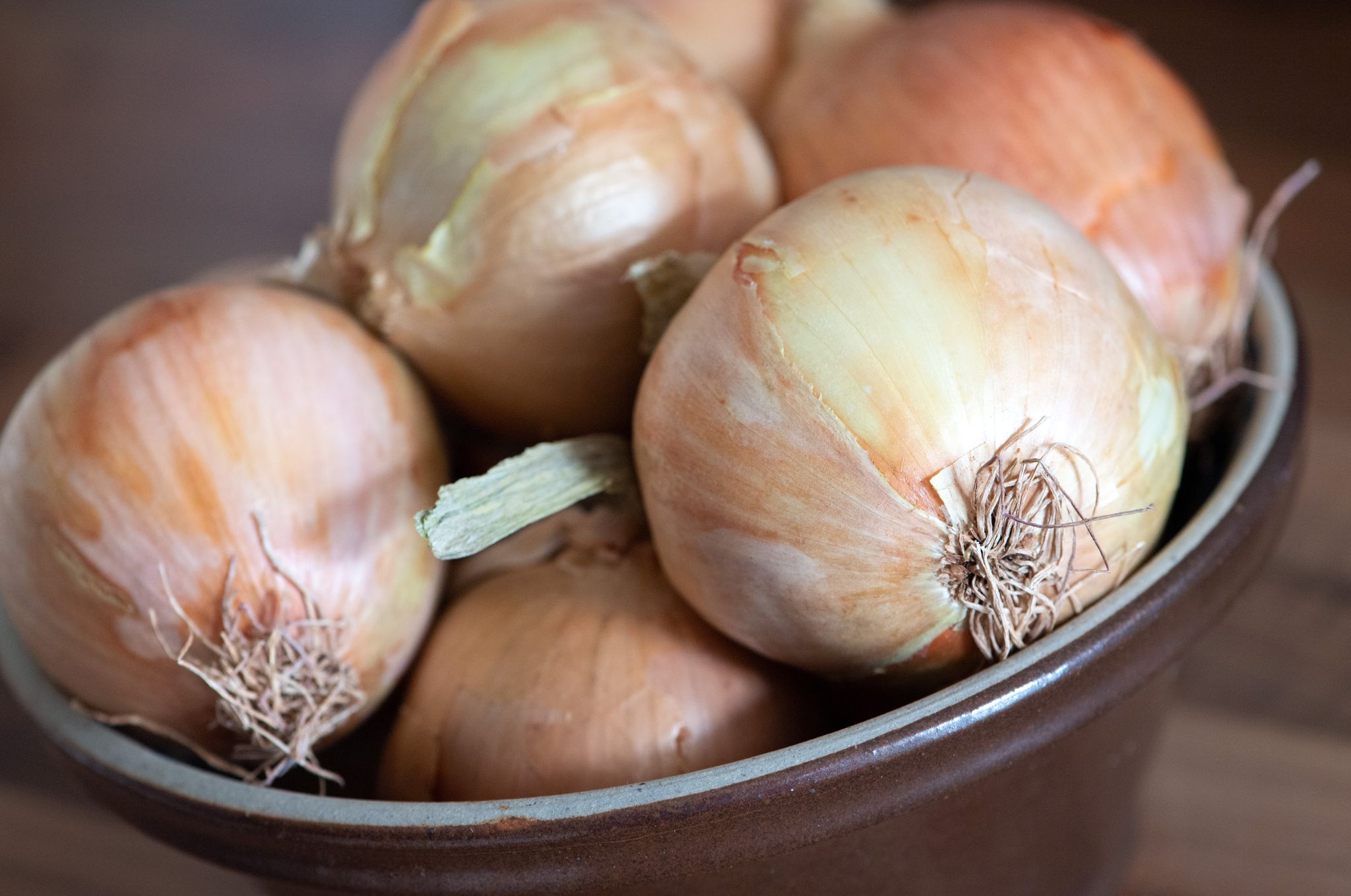 Zwiebeln sind lecker - wenn nur die Heulerei beim Schneiden nicht wäre!