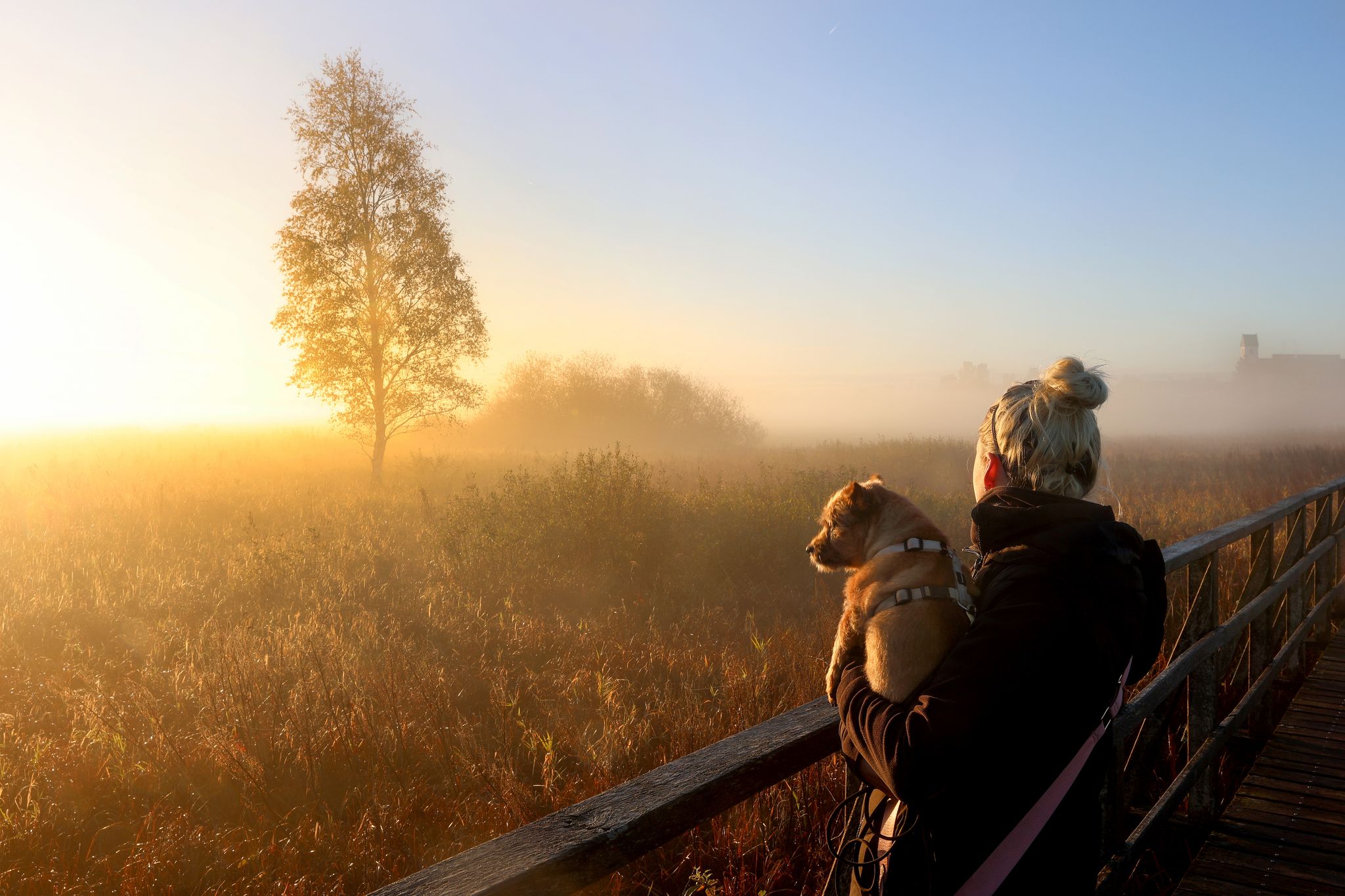 Der physiologische Tageszyklus des Menschen orientiert sich am Sonnenaufgang. (Archivbild)