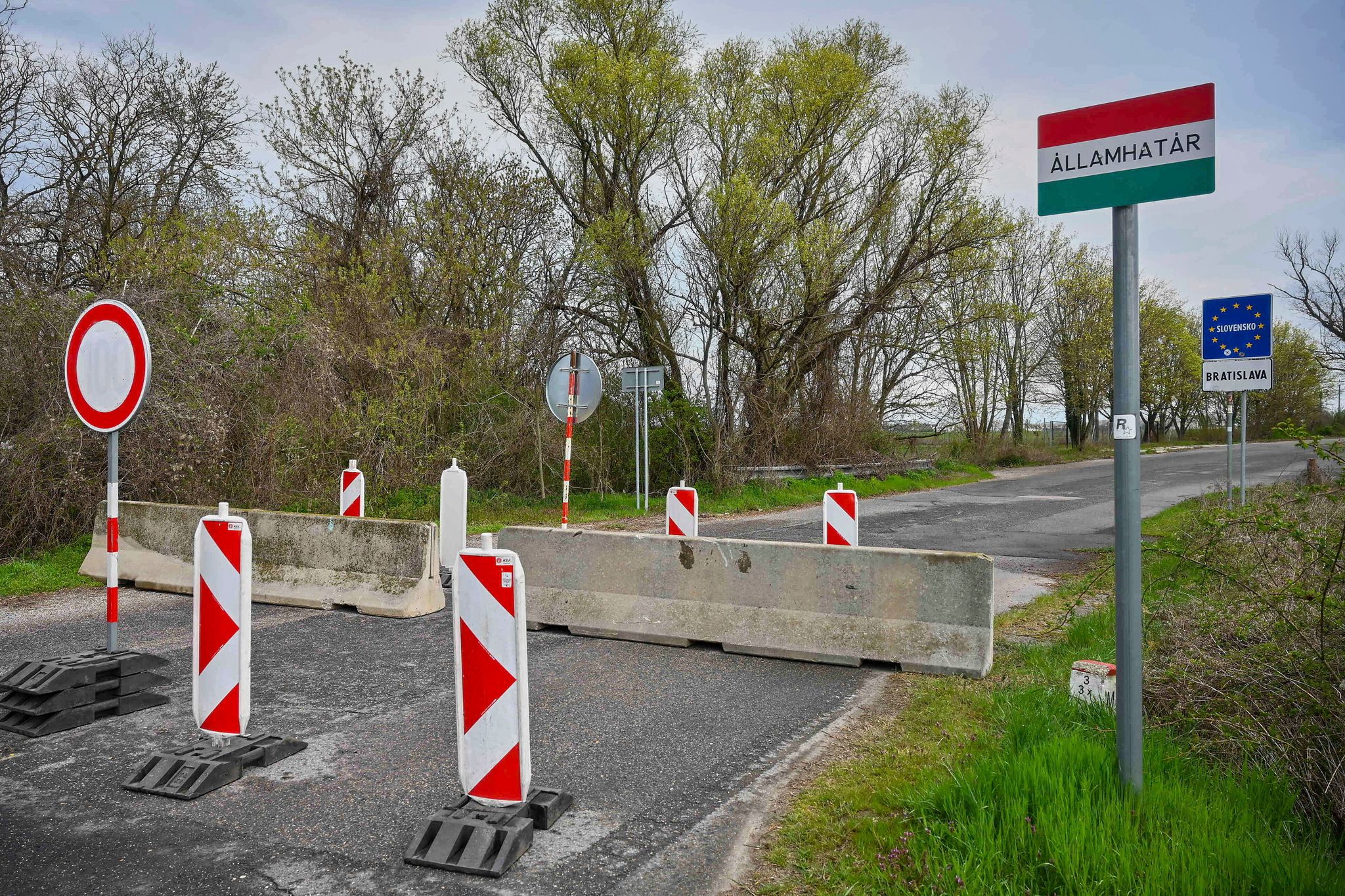Der Ausbruch der Maul- und Klauenseuche in Ungarn und der Slowakei sorgt in Deutschland für Unsicherheit (Archivbild).