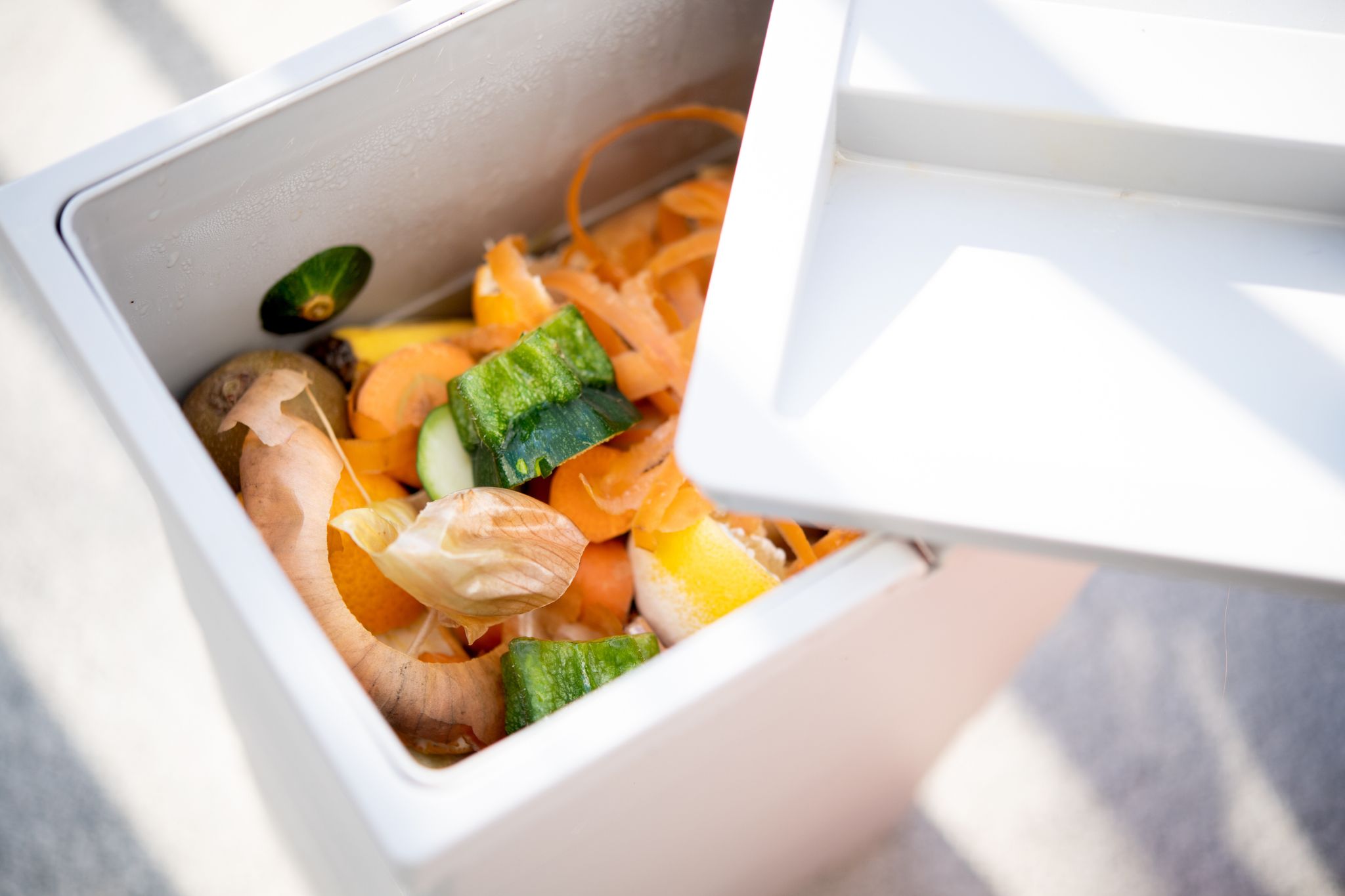 Ob roh, gekocht oder verdorben: Essensreste finden ihren Platz im Biomüll.