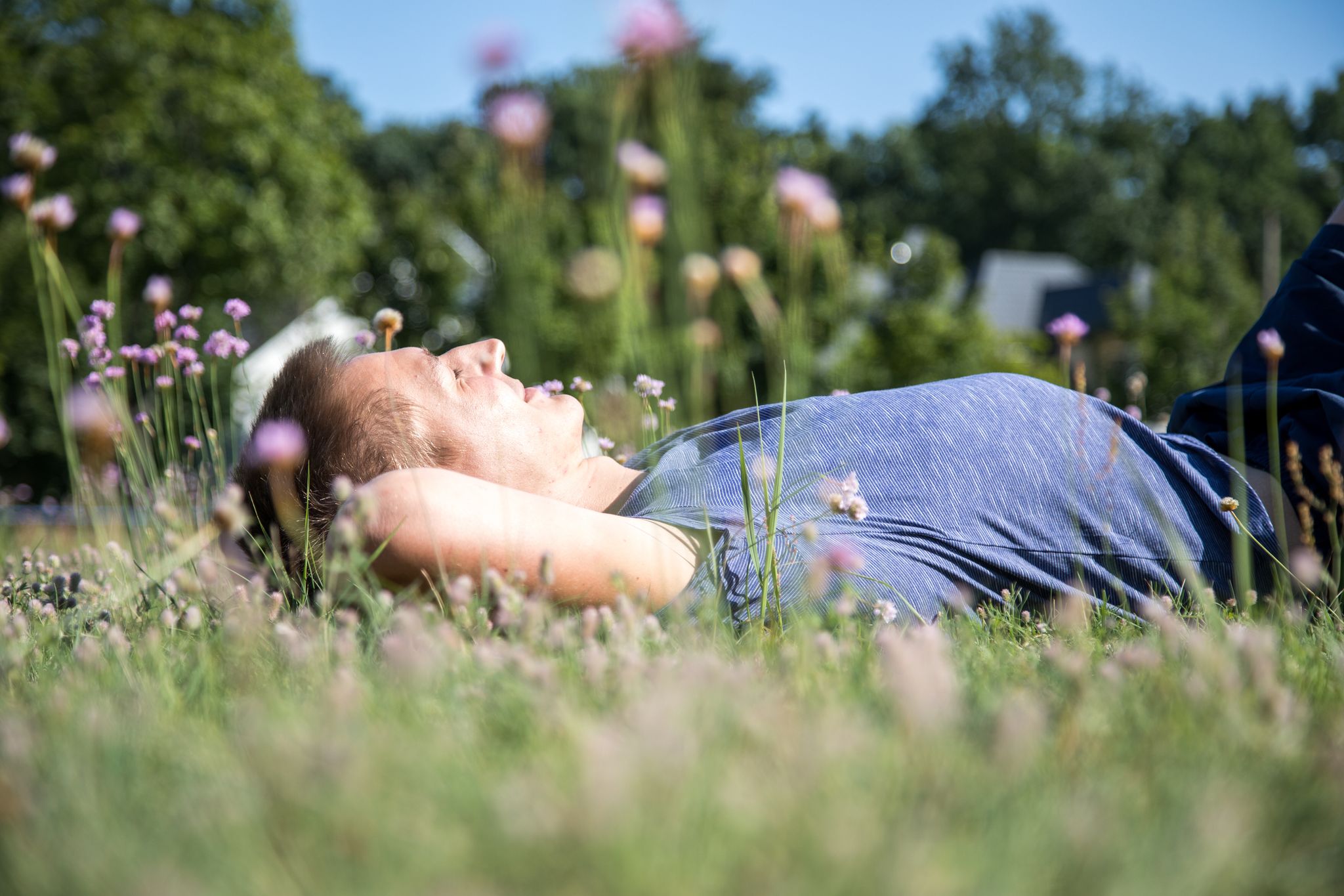 Es könnte so schön sein - würden im Gras nicht die lästigen Zecken lauern.