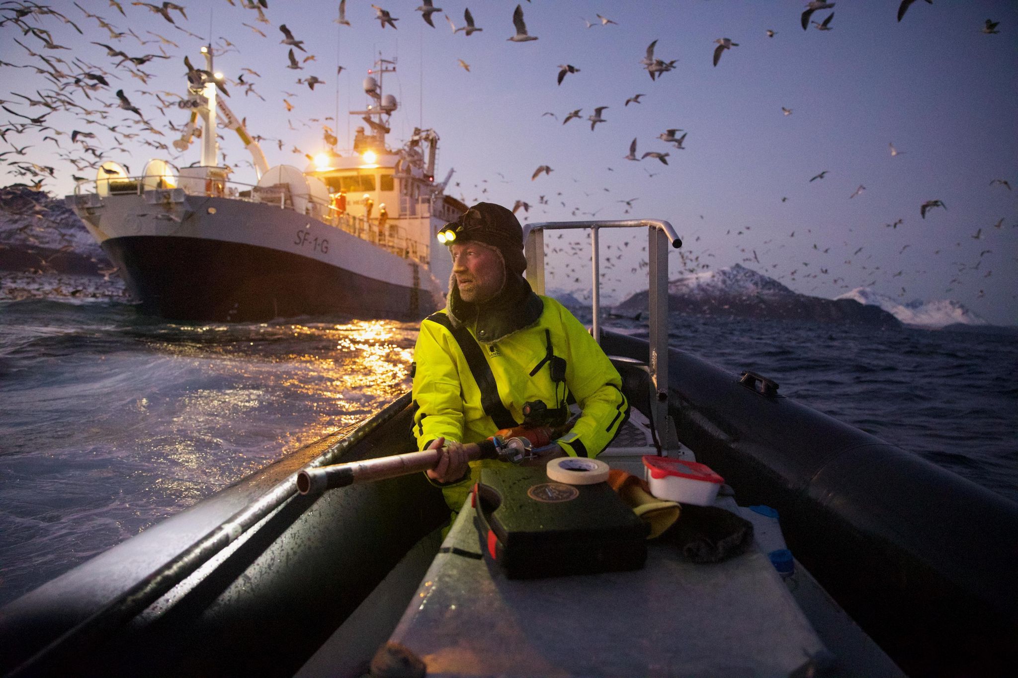 Das Gesamtsiegerbild zeigt den Biologen Audun Rikardsen, der in einem norwegischen Fjord Wale mit Sendern ausstattet.