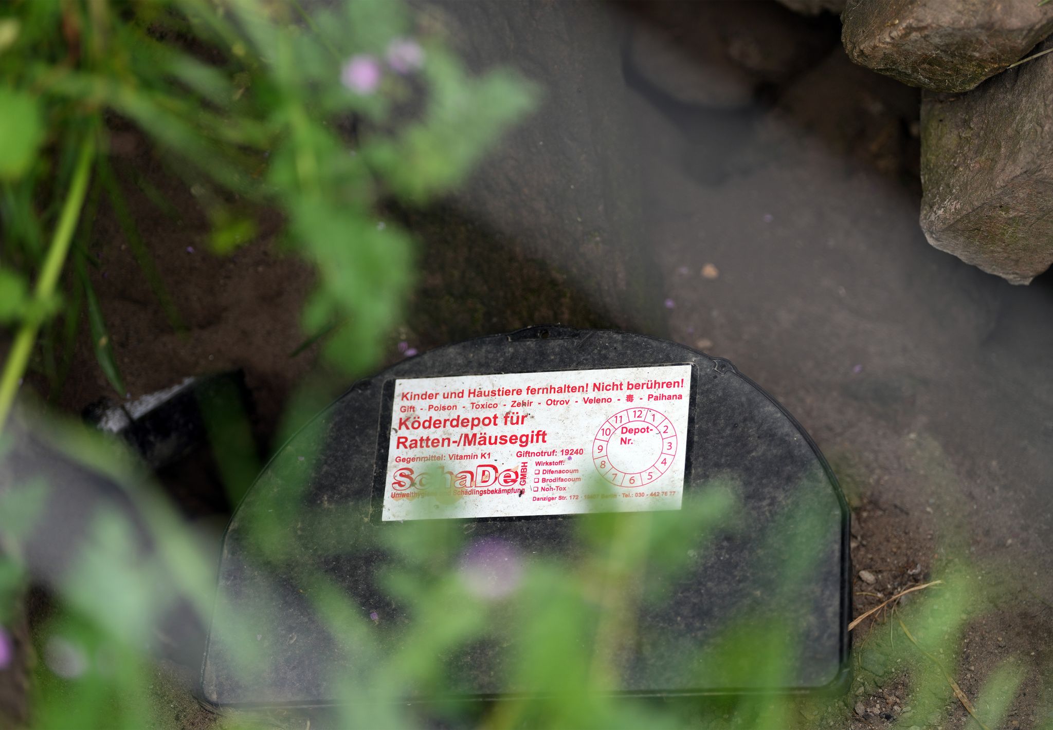Nach EU-Recht ist Rattengift in Ausnahmefällen für begrenzte Dauer erlaubt (Archivbild).
