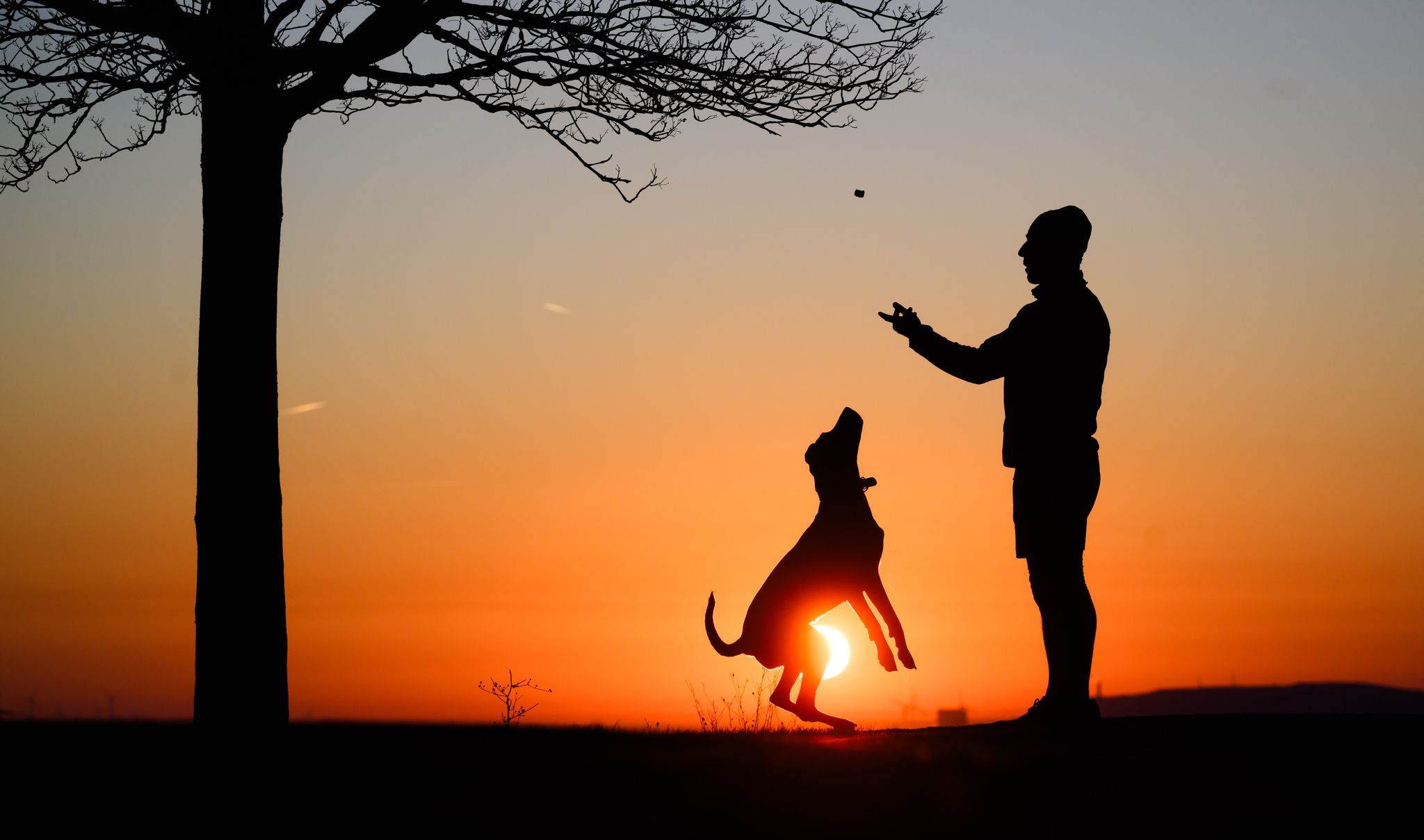 Hund statt Kind? Ganz so einfach ist es nicht.