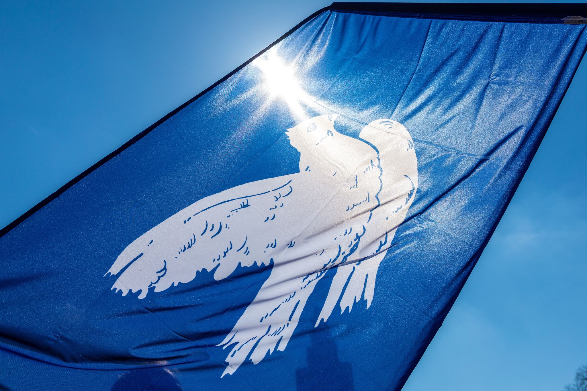 Mit einer Kriegsdienstverweigerung haben wehrpflichtige Menschen in Deutschland die Möglichkeit, einen bewaffneten Wehrdienst zu verweigern.