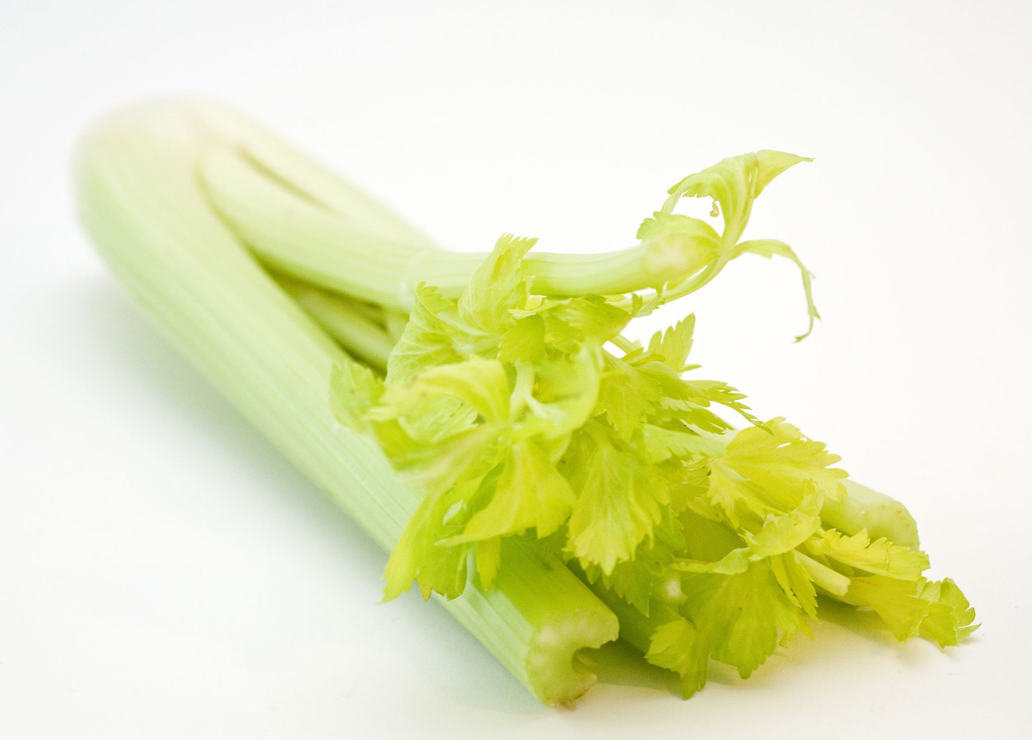 Staudensellerie ist vielseitig einsetzbar: Ob roh, gedünstet oder gebraten – das Gemüse passt zu Salat, Dip, Suppe oder Pasta.