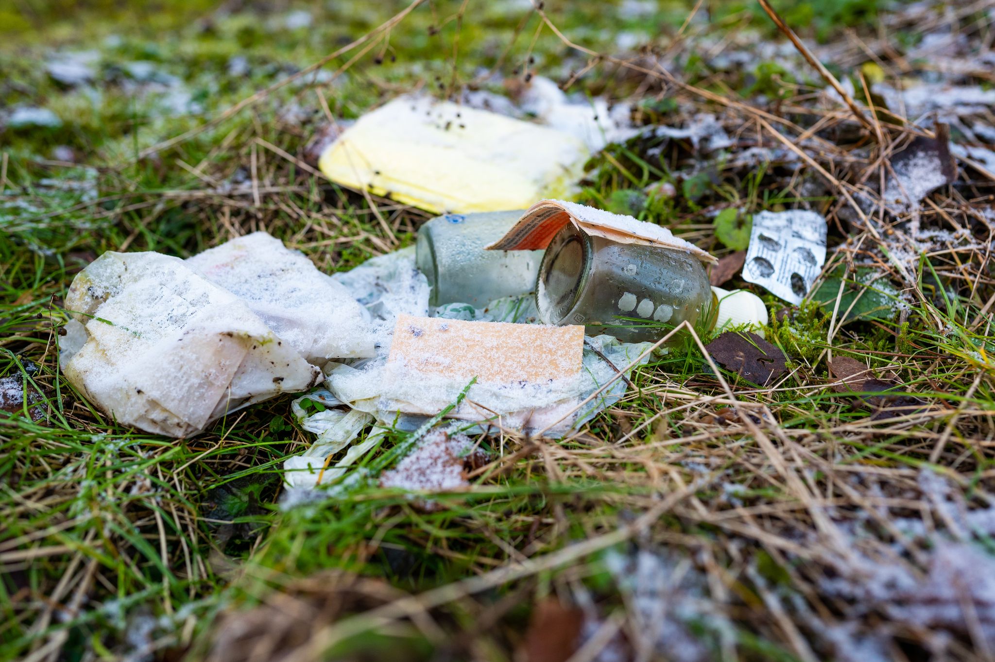 Müll im Wald schadet der Natur und gefährdet Tiere sowie Pflanzen. Wer den Wald besucht, sollte Abfälle deshalb immer wieder mitnehmen und sachgerecht entsorgen.