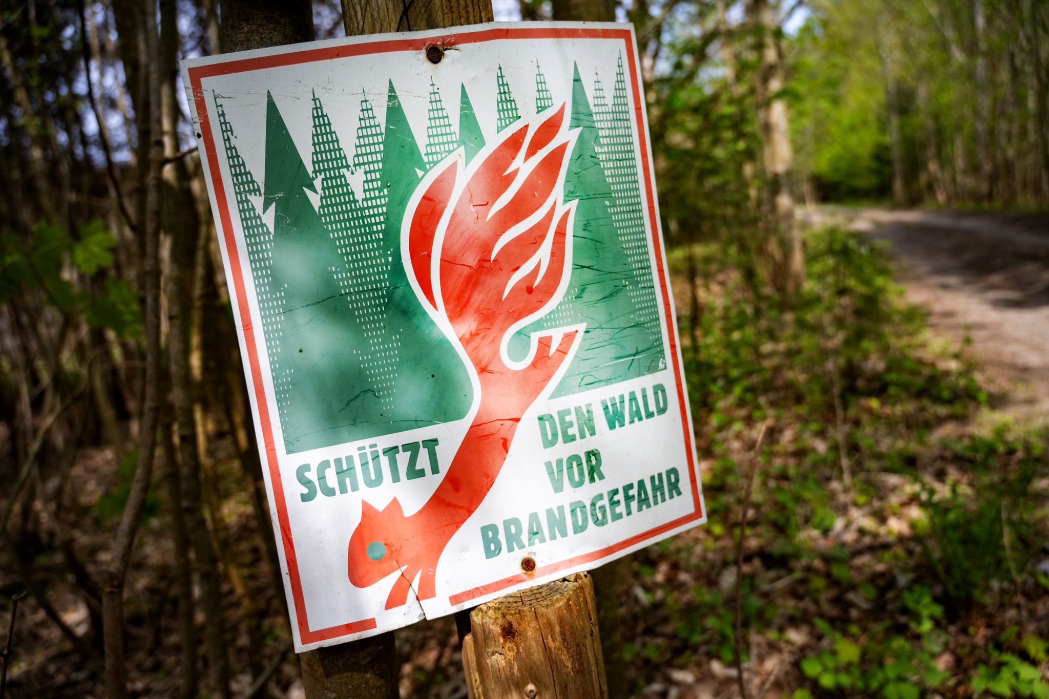 Höchste Alarmstufe im Wald: In Teilen Deutschlands gilt Gefahrenstufe 5 und schon ein Funke kann zur Katastrophe führen.