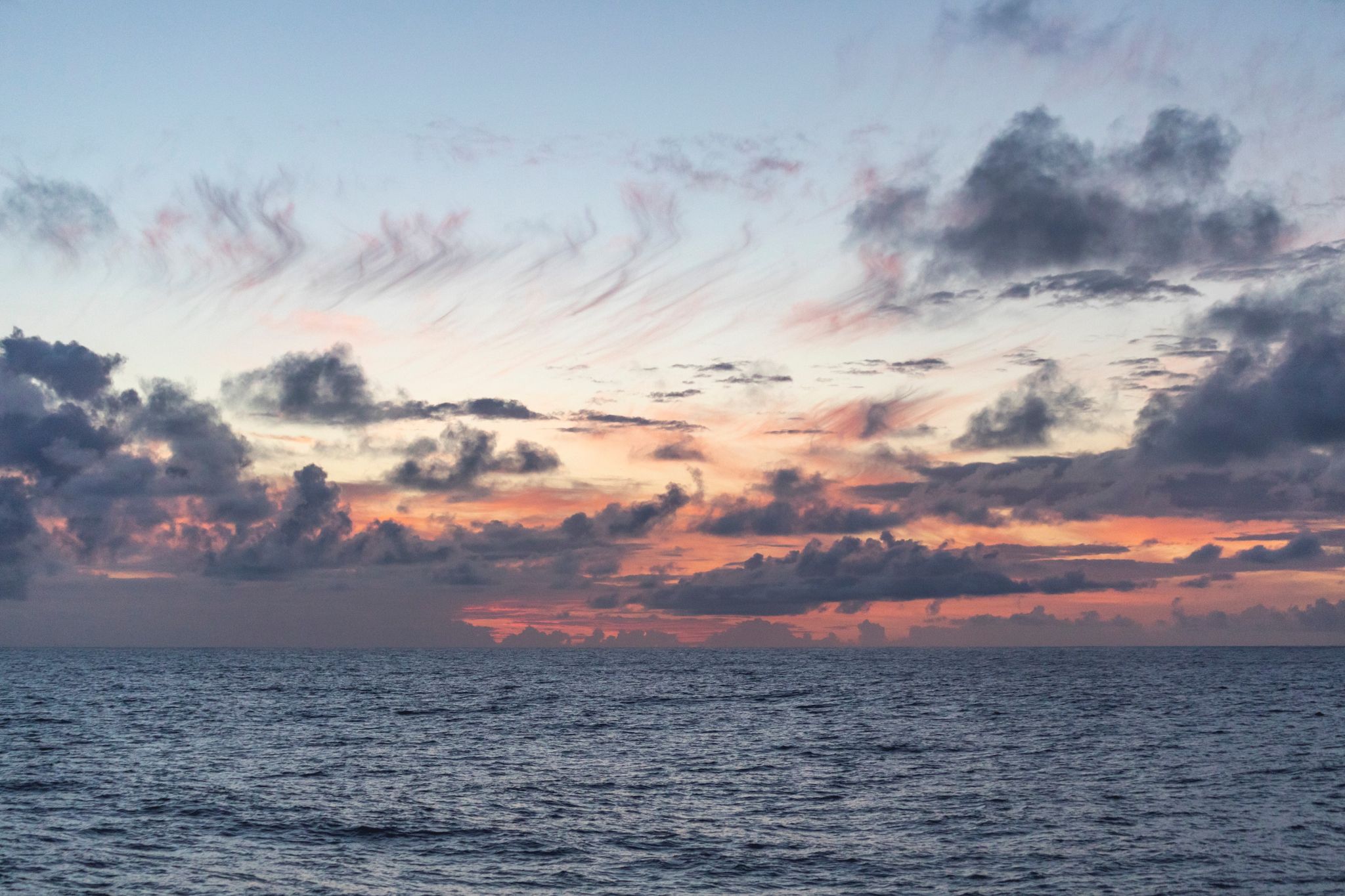 Untersucht wurde eine Region nördlich von Hawaii, die sogenannte Nordpazifische Übergangszone.
