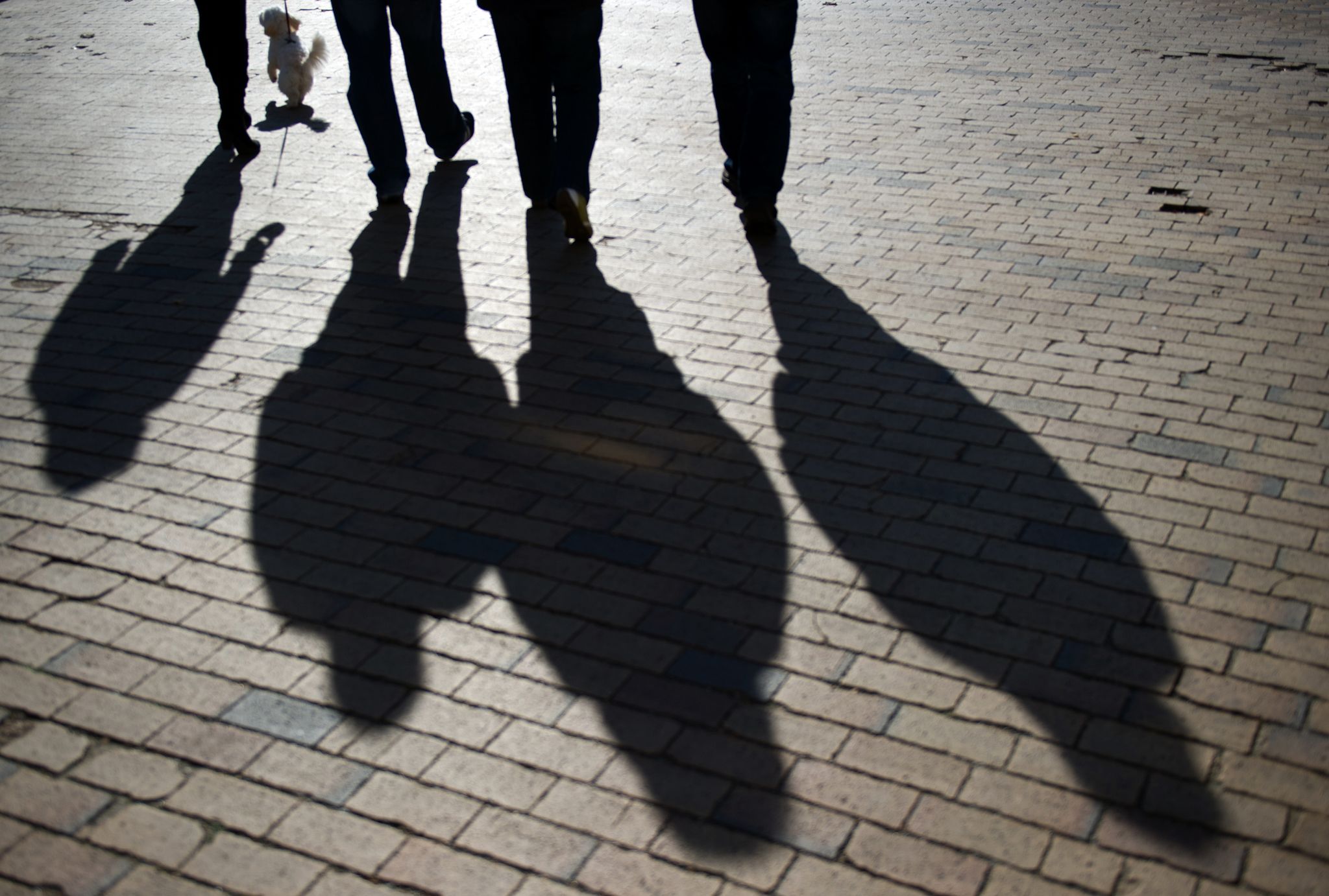 Wer erbt eigentlich, wenn ich irgendwann nicht mehr bin? Gibt es kein Testament oder keinen gültigen Erbvertrag, regelt das die gesetzliche Erbfolge.