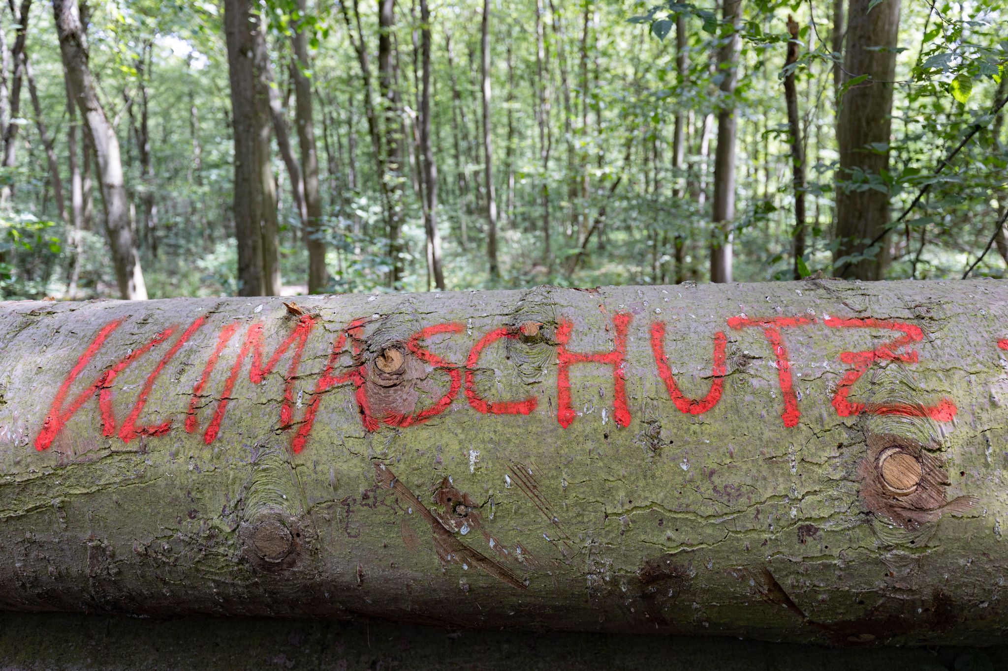 Die Studie basiert auf einer sozialwissenschaftlichen Langzeitbefragung in Deutschland. (Symbolbild)
