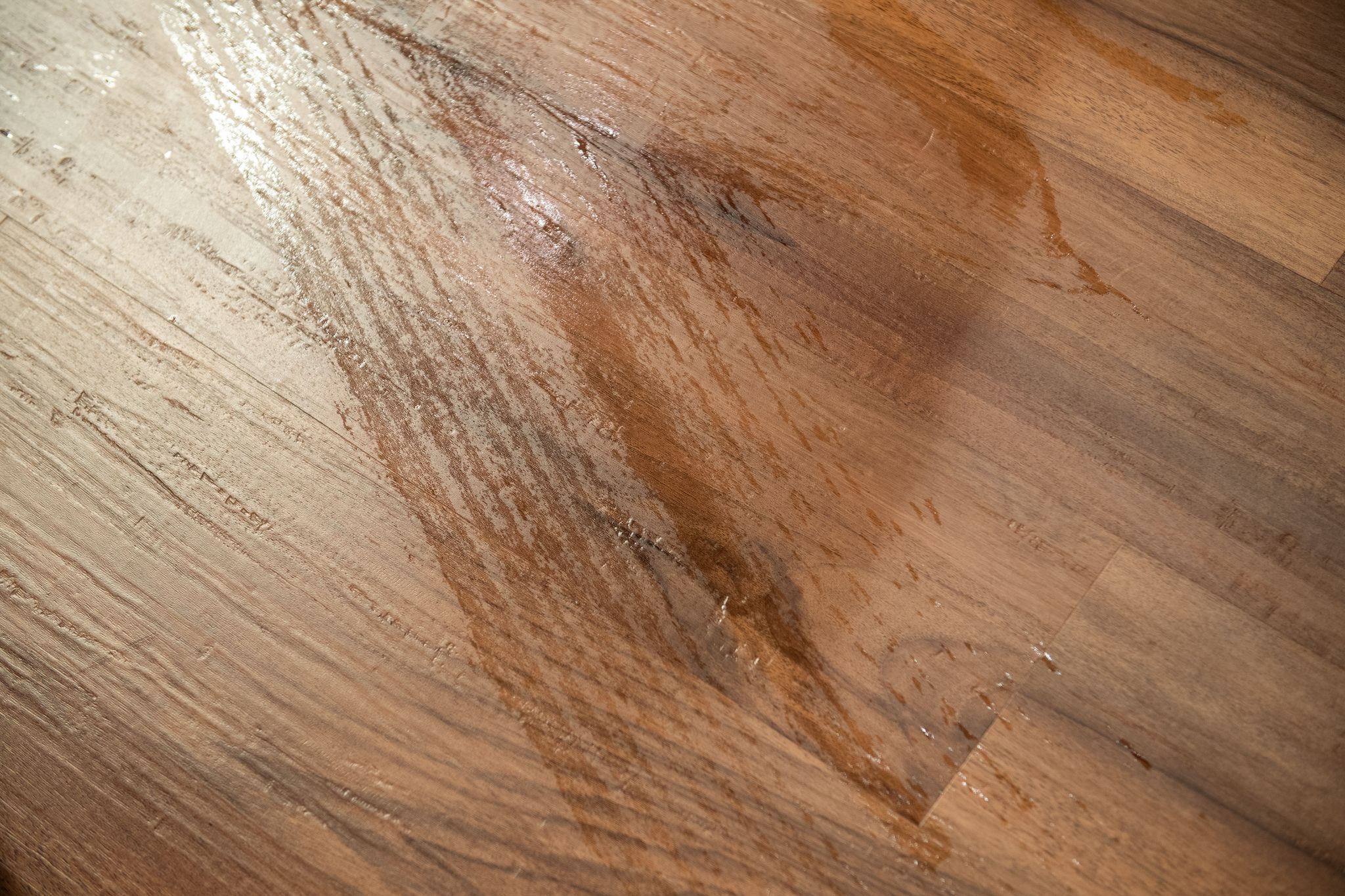 Sauber, aber selten ohne Schlieren: Nur drei von neun Akkuwischern überzeugten im Test.