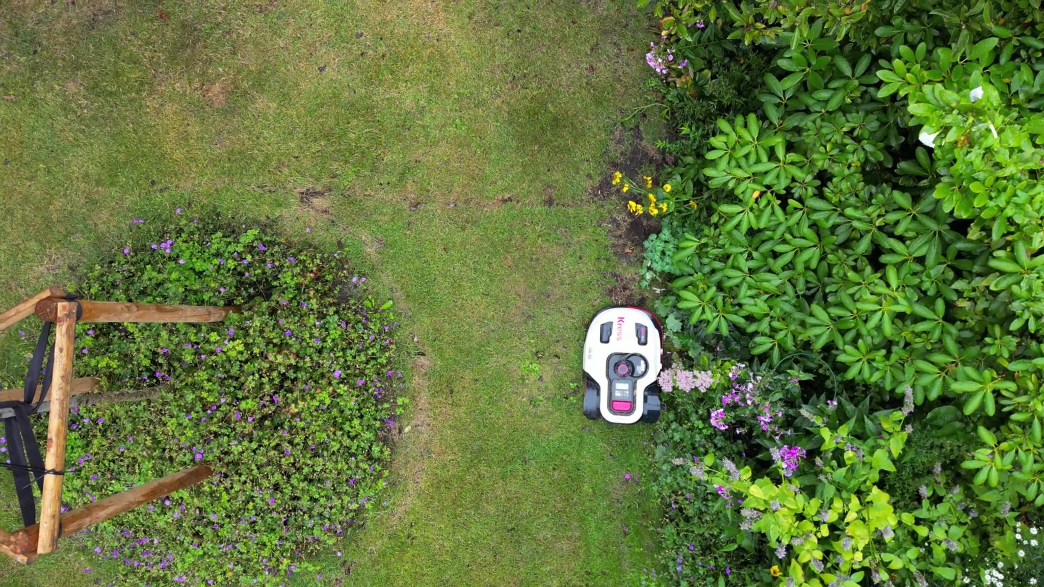 Naturschützer warnen davor, dass Mähroboter eine Gefahr sein können - vor allem für nachtaktive Tiere. (Symbolbild)