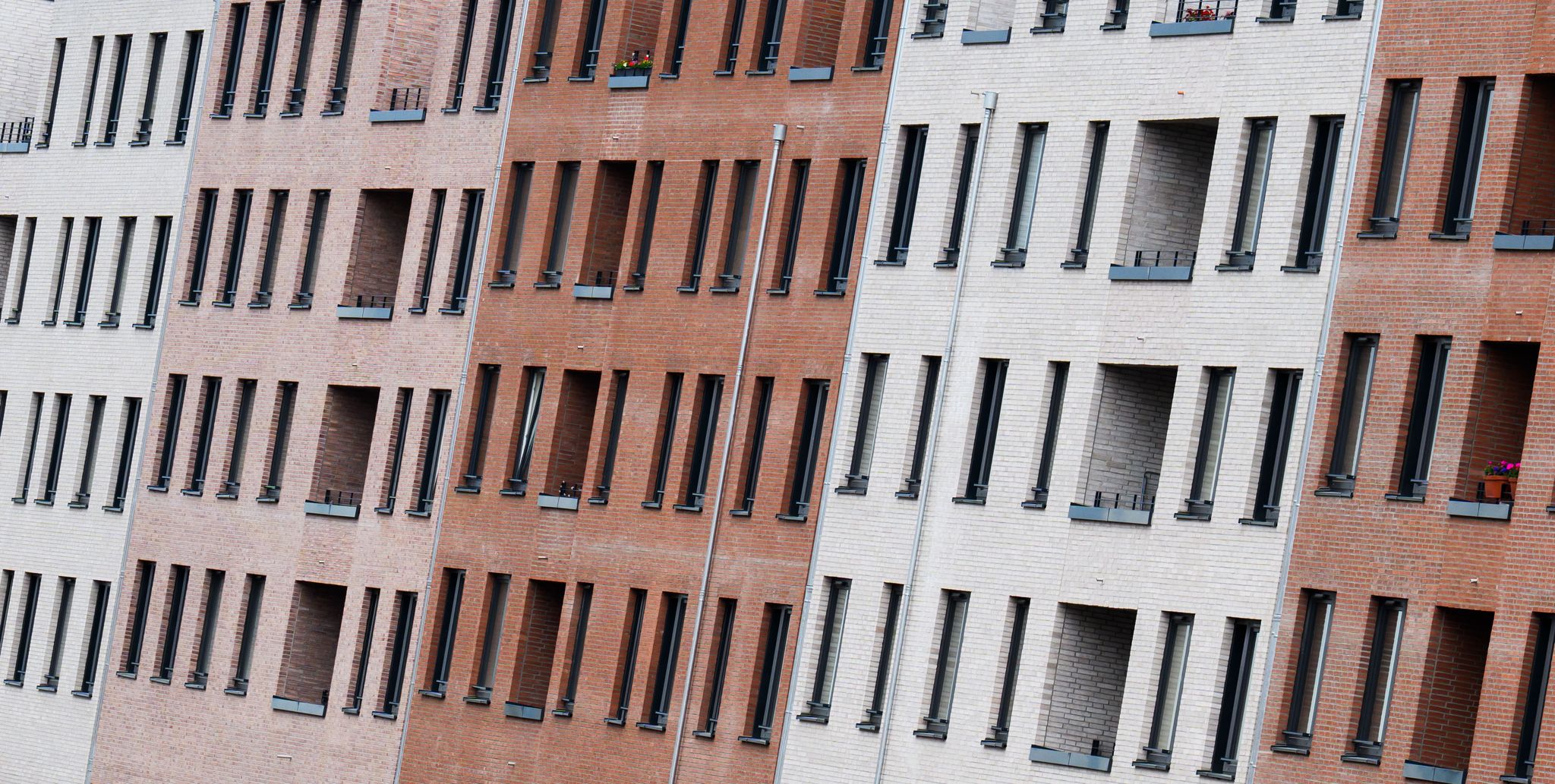 Vor allem in Ballungsräumen ist bezahlbarer Wohnraum knapp. (Archivbild)