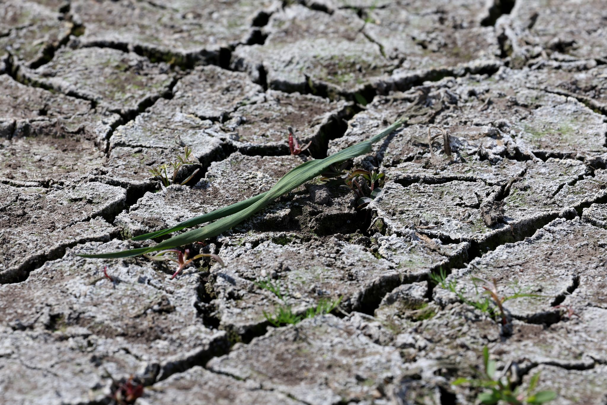 Am Boden zeigen sich Risse.