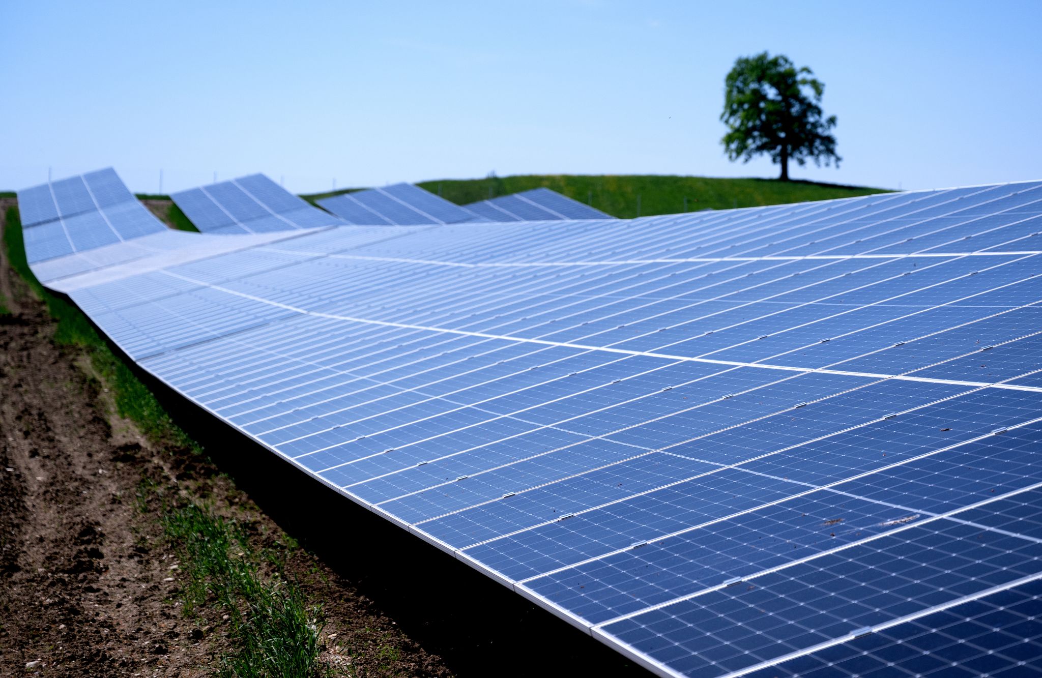 Solarparks wie dieser in der Nähe der Autobahn 95 in Bayern machen knapp ein Drittel der in Deutschland installierten Leistung aus. (Archivbild)