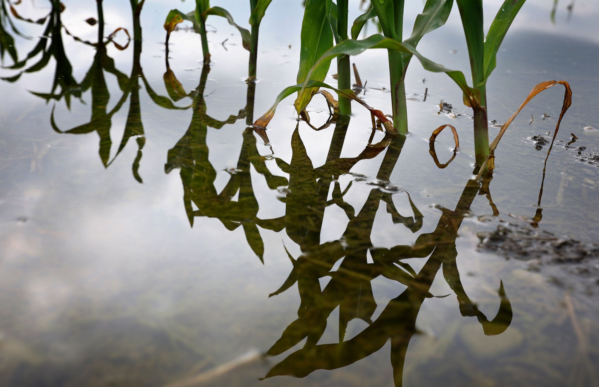 Die EU-Kommission will ein verbindliches Klimaziel für 2040. (Archivbild)