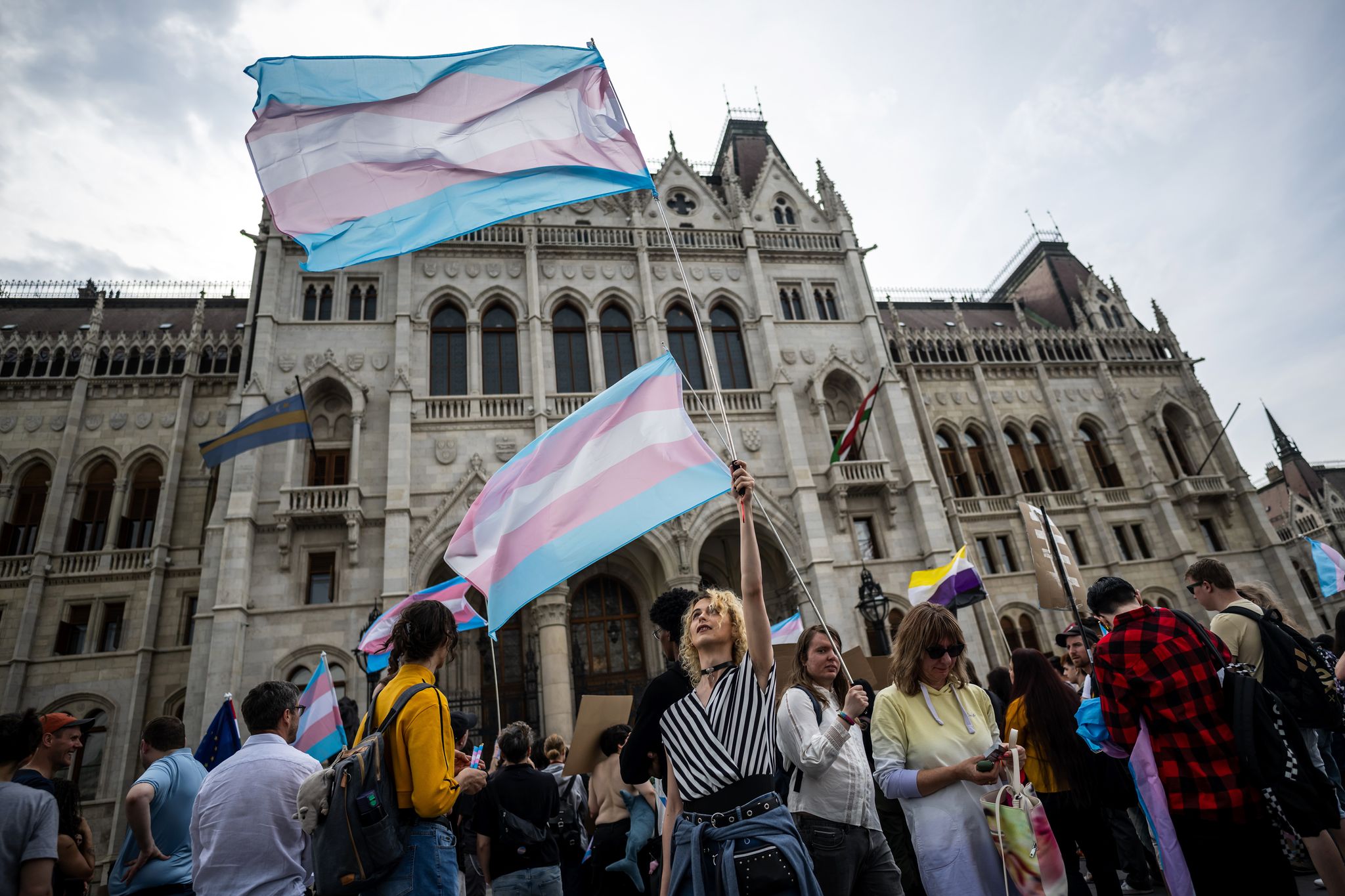 Fünf waagrecht verlaufende Streifen in den Farben Blau, Rosa und Weiß: Menschen schwenken bei einer Trans Pride Parade Transgender-Fahnen.