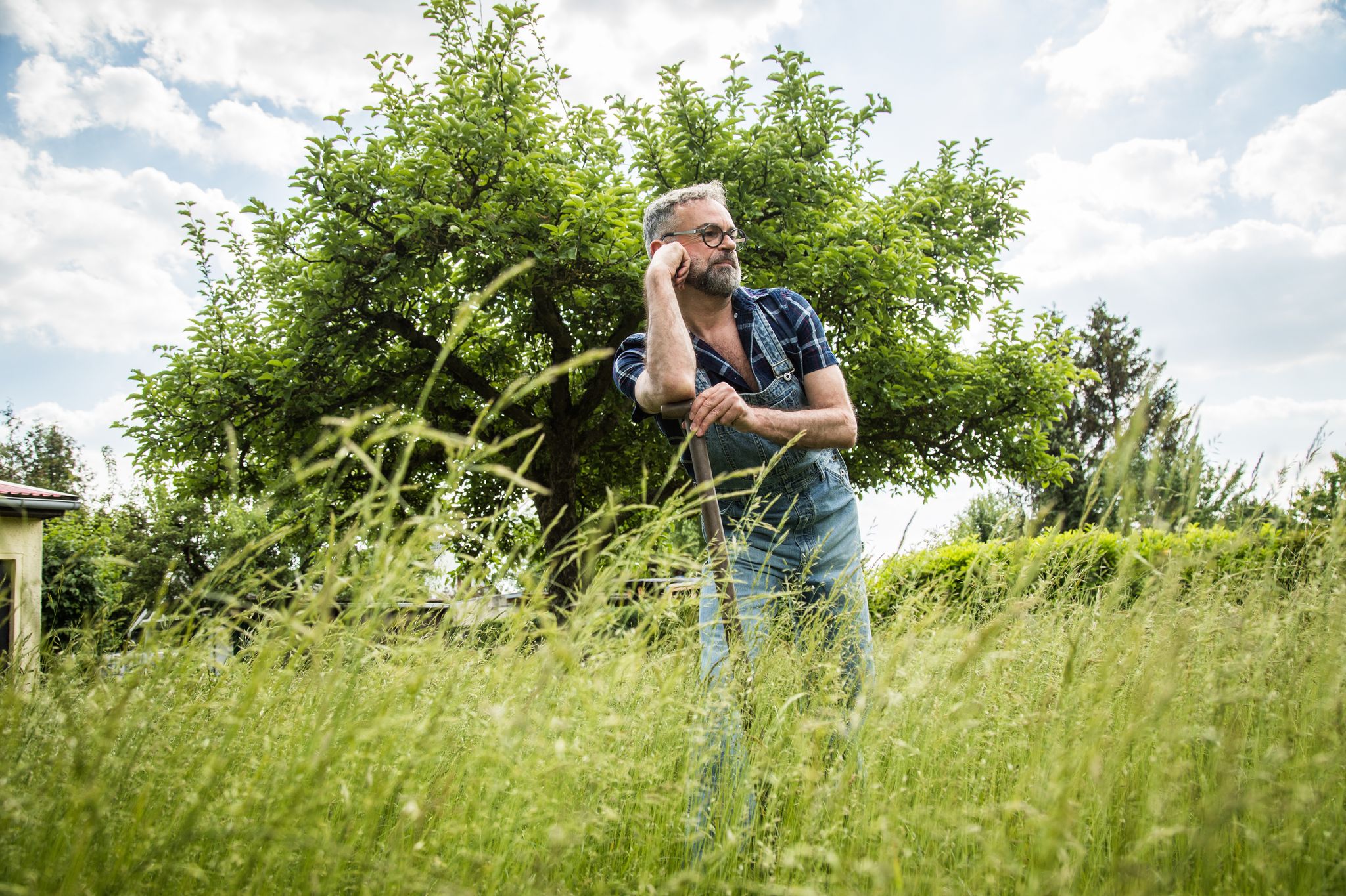 Wer eine Grünfläche im Garten haben will, hat viele Optionen: Rasen, Wiese - oder Kräuterrasen.