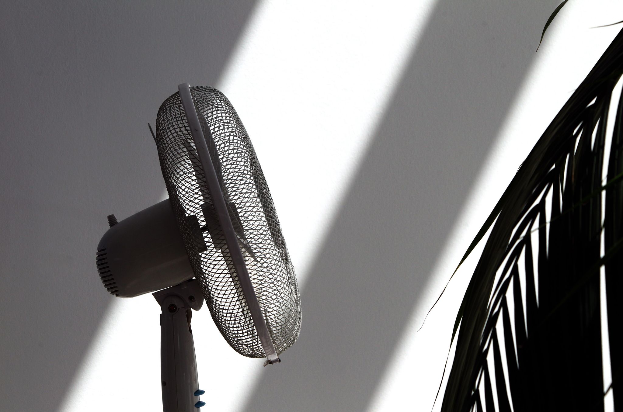 Ein Ventilator verschafft zumindest ein bisschen frische Luft bei Hitze.
