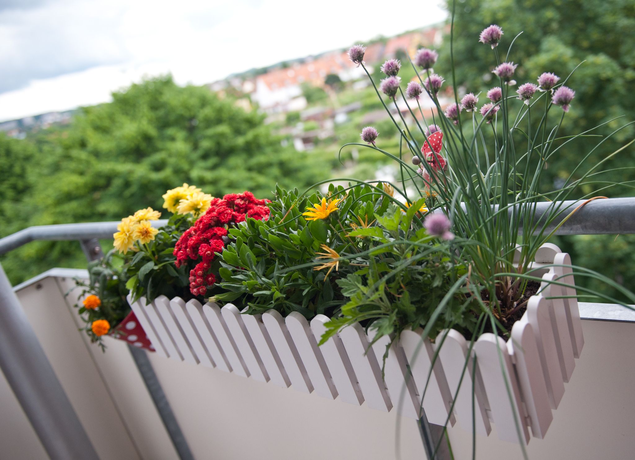 Wird in der Eigentümerversammlung der Beschluss gefasst, dass Blumenkästen künftig innen am Balkon hängen müssen, ist dies rechtens.