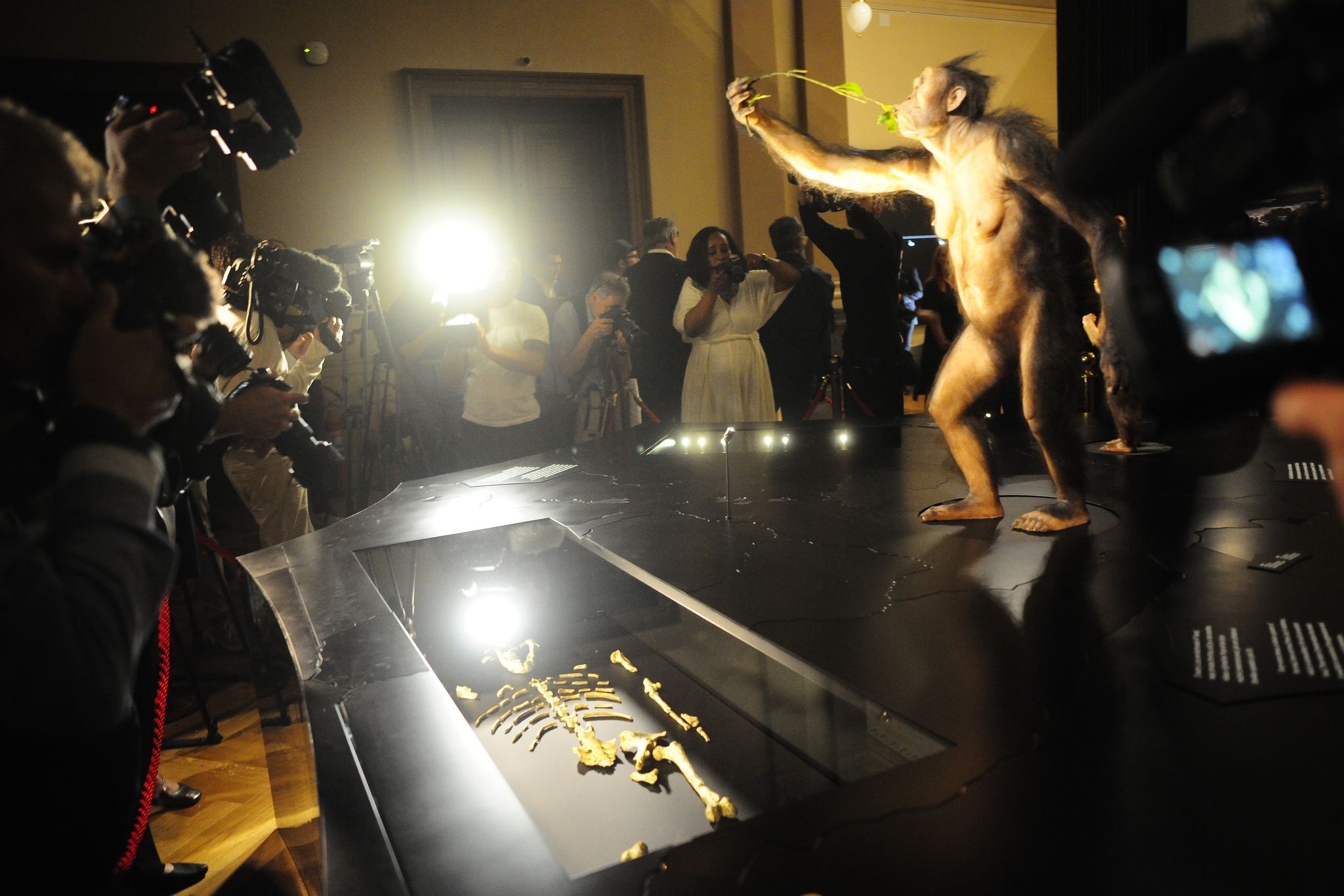 Das Vormenschen-Fossil "Lucy" aus Äthiopien ist erstmals in Europa zu sehen. Die Ausstellung im Nationalmuseum in Prag ist nur bis zum 23. Oktober geöffnet.