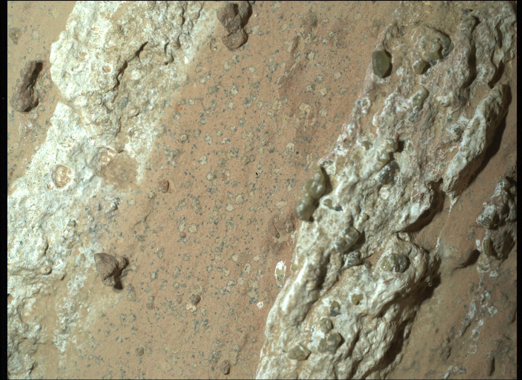 Eine vom Nasa-Rover «Perseverance» im vergangenen Jahr auf dem Mars entnommene Gesteinsprobe könnte nach Angaben der US-Raumfahrtbehörde möglicherweise Spuren von früherem mikrobiellen Leben enthalten.