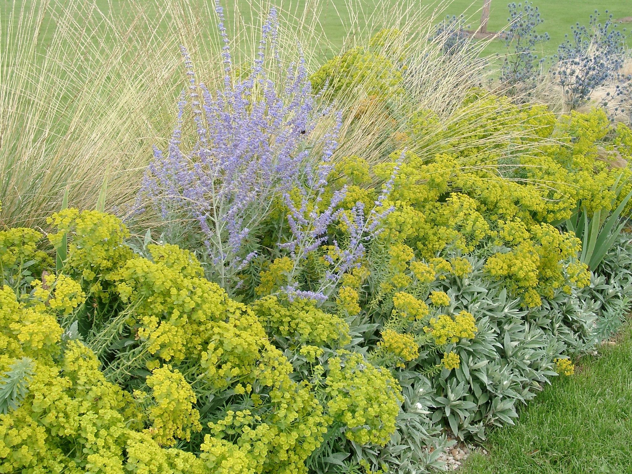 Staudenmischungen bringen Vielfalt und Dynamik in jeden Garten.