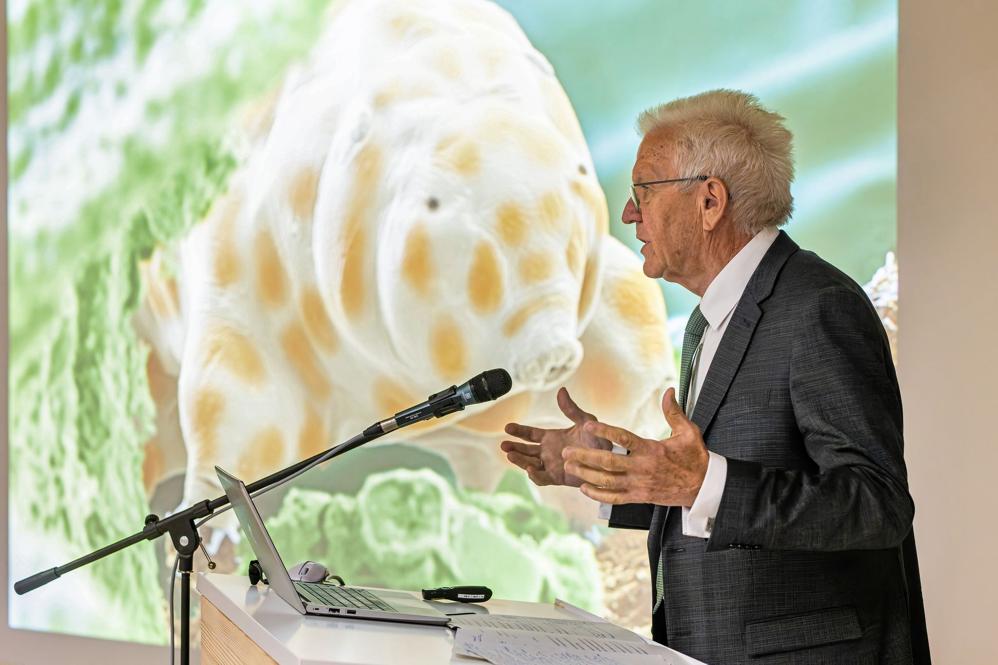 Winzig und doch bärenstark: Die neu entdeckte Bärtierchenart «Ramazzottius kretschmanni».